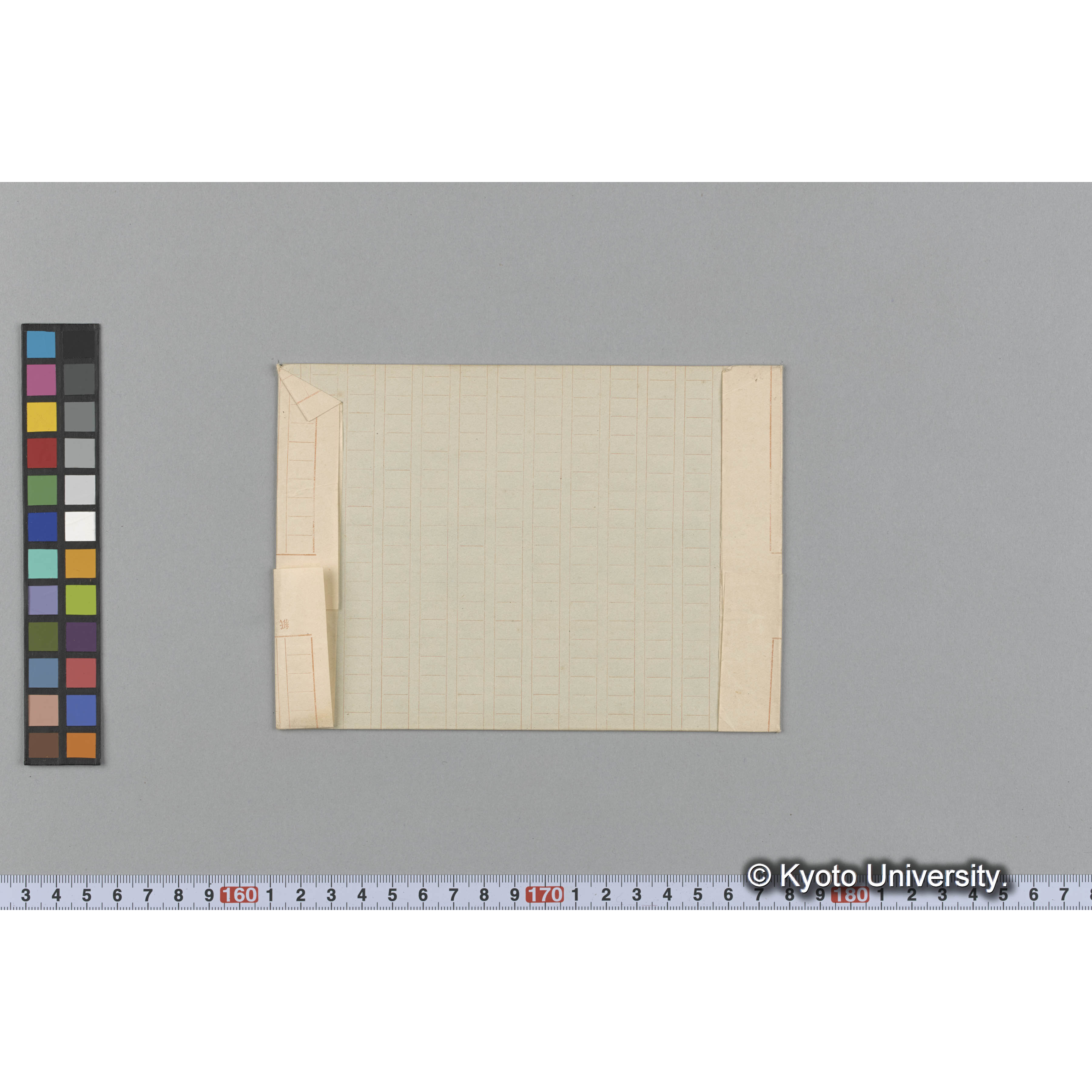 Laurencia divaricata J. Ag / Herb. J Ag. 36642. / Mer rouge. / 外遊　p.1476 （写真帳番号 82） (2)