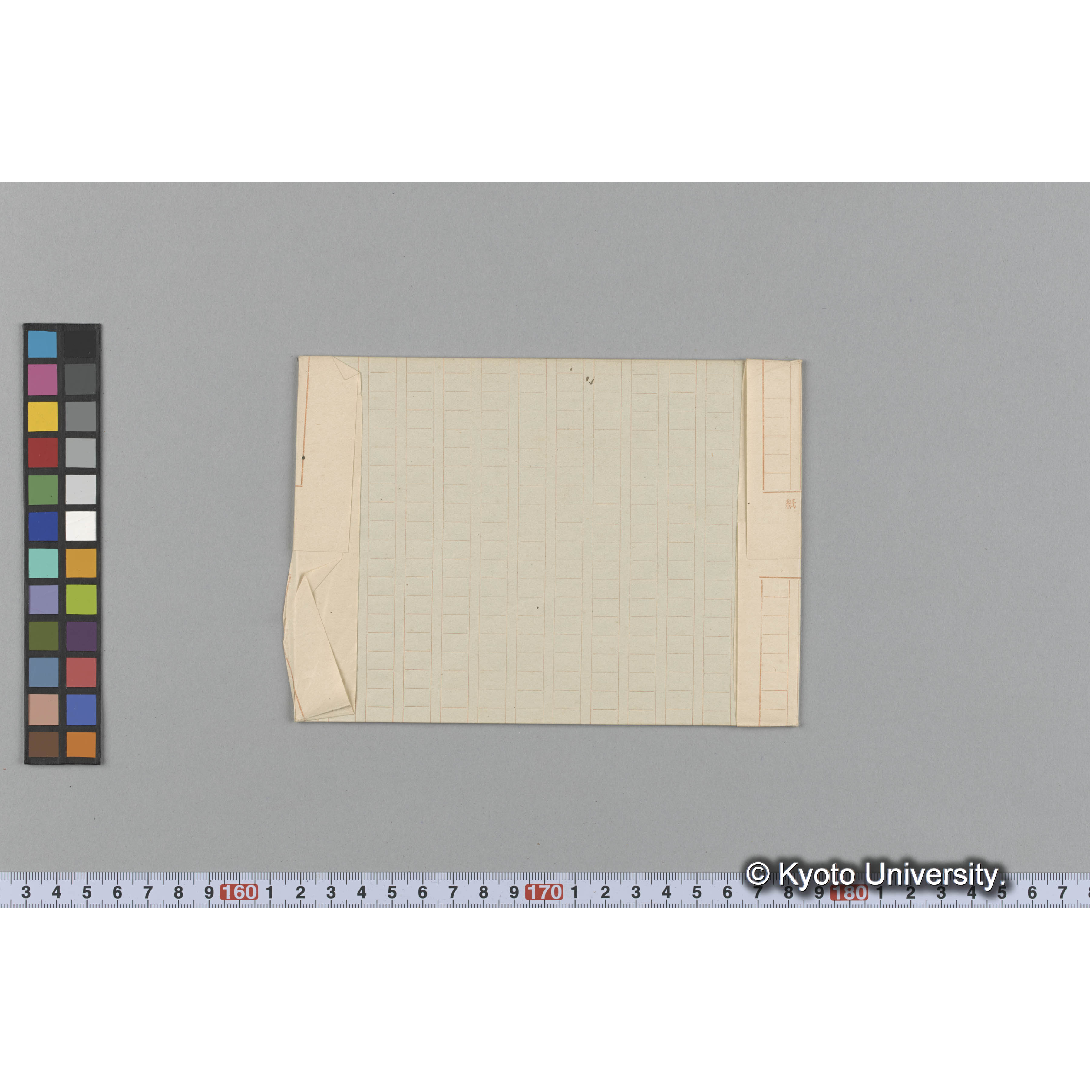 Laurencia dendroidea / Herb. J. Ag. 36671 / Harv. Austr. Alg. 236B. （写真帳番号 79） (2)