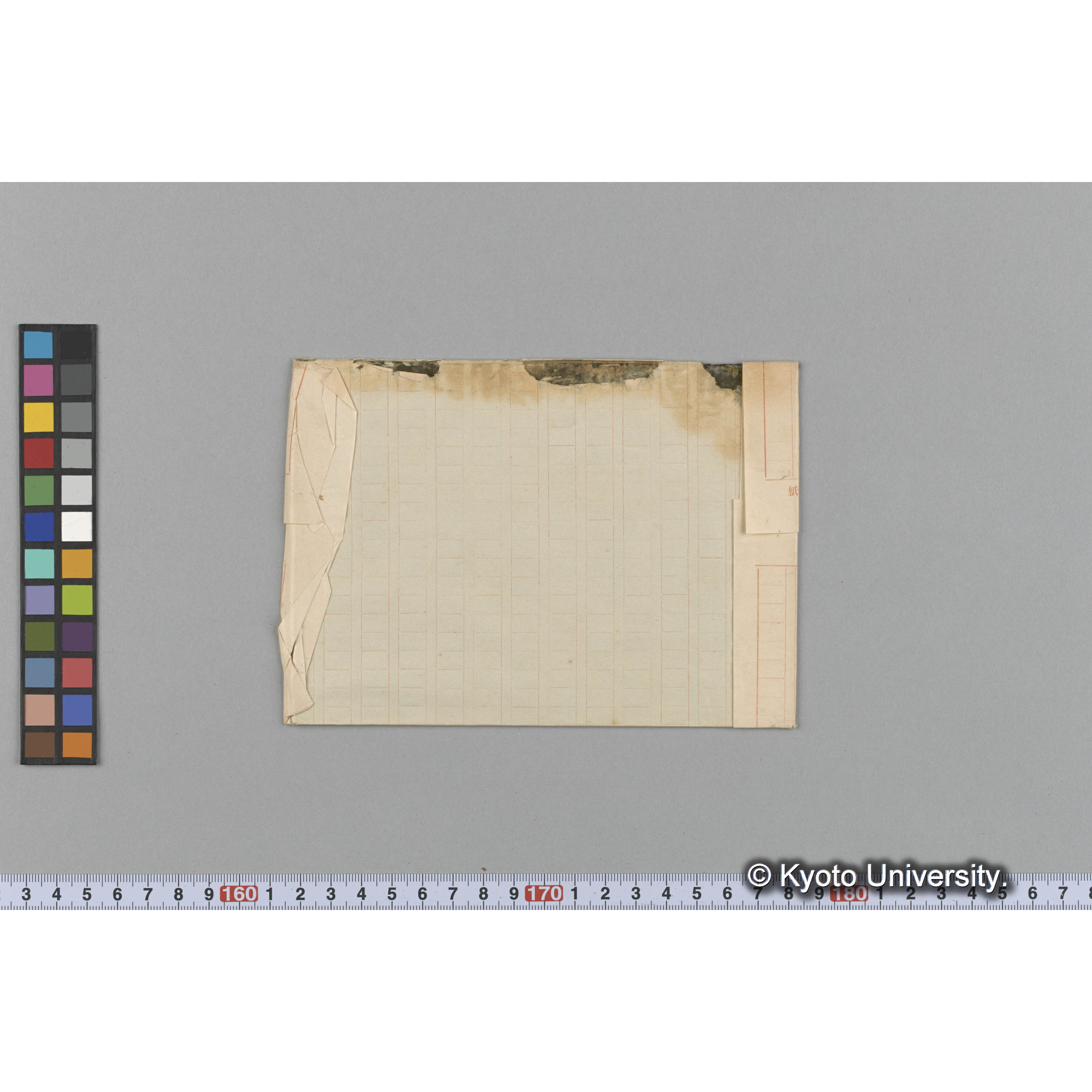 Nitophyllum marginatum / Herb. J. Ag. 31045 / 外遊 p.1411 （写真帳番号 93） (2)