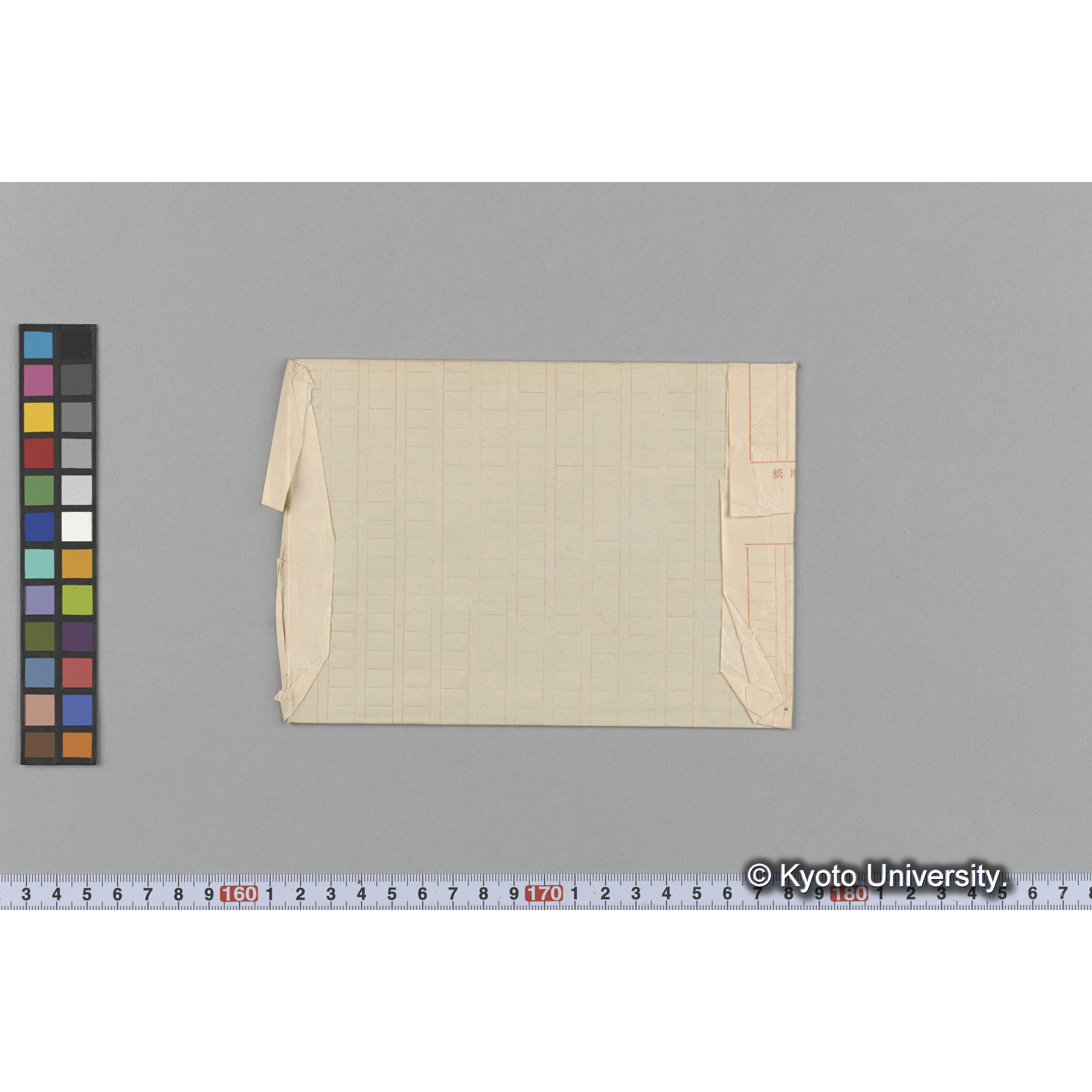 Meristotheca papulosa J. Ag. / Herb. J. Ag. / Halymenia ceylanica （写真帳番号 86） (2)