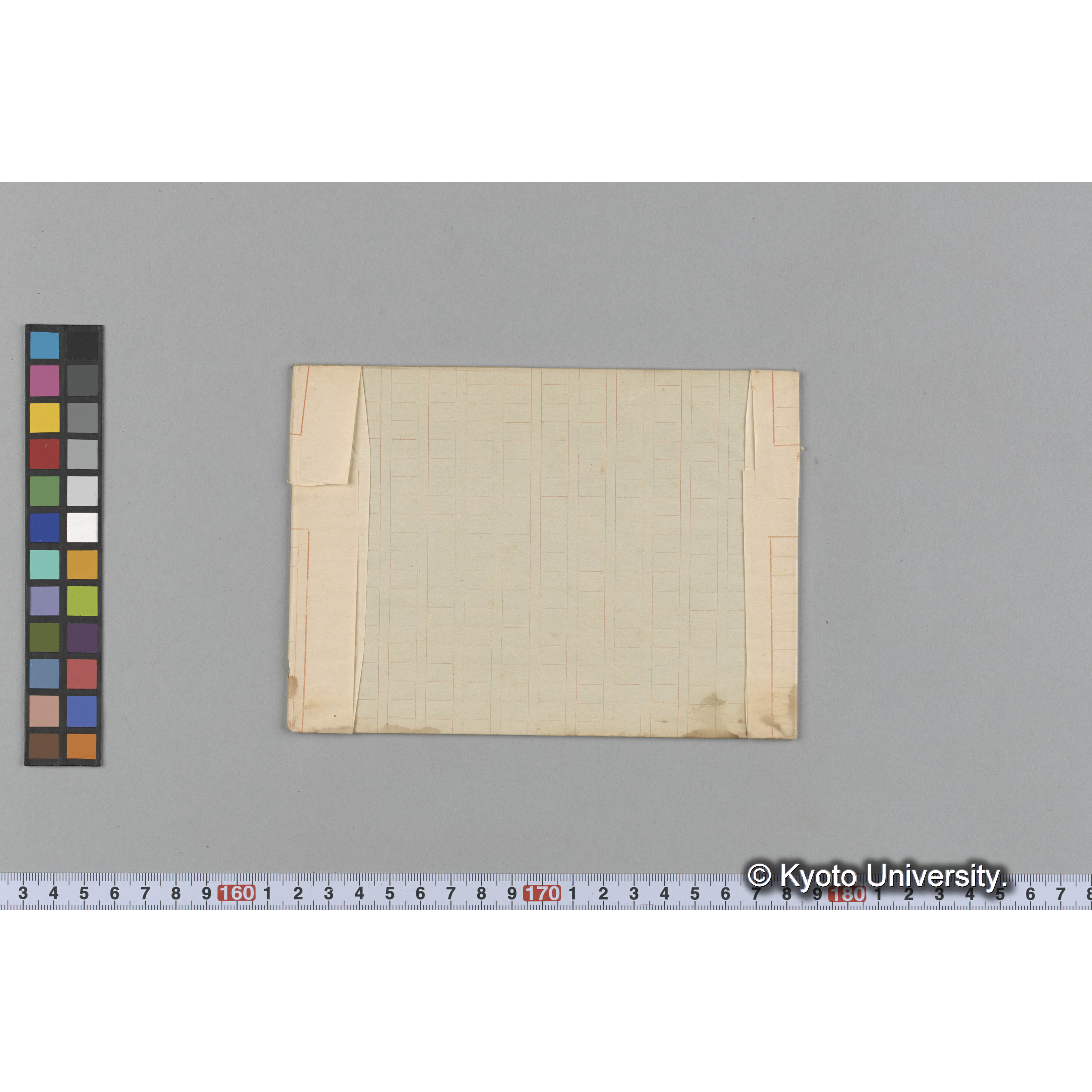 Dilsea edulis / 海産植物 (2)