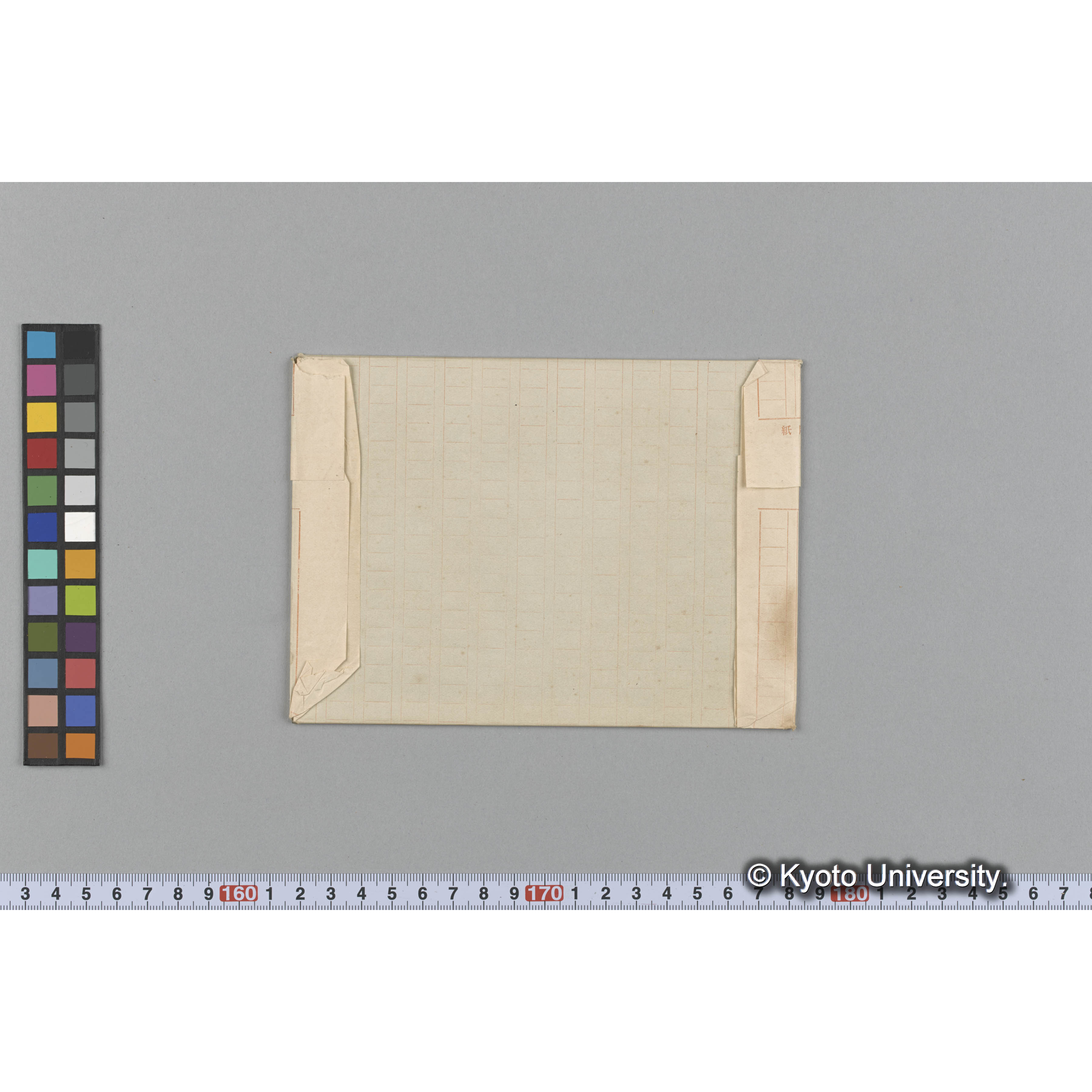 Grateloupia prolongata / Herb. J. Ag. （写真帳番号 54） (2)