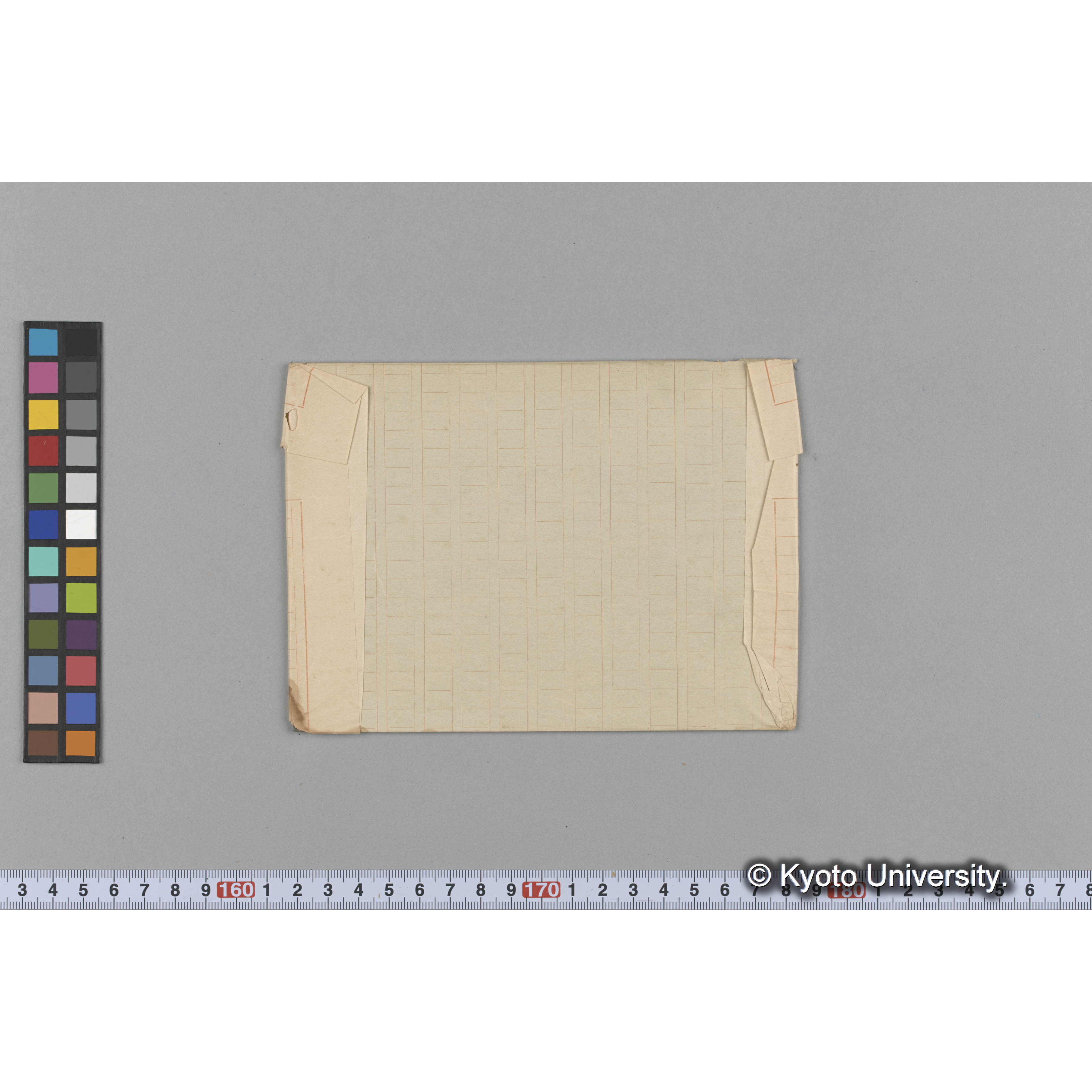 Ecklonia sp. round blade / 三崎 (2)