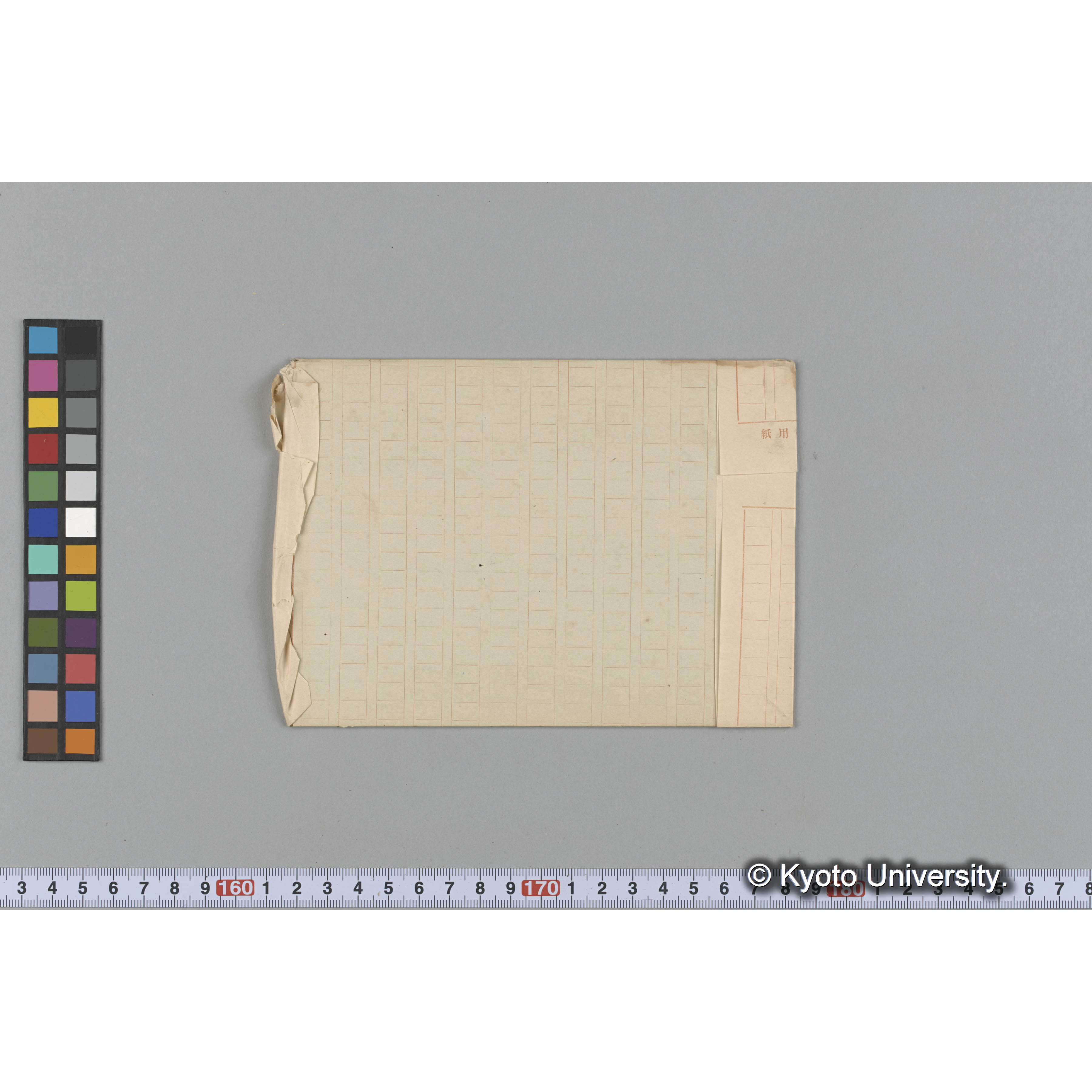 Costaria Turneri / Oshoro. (2)