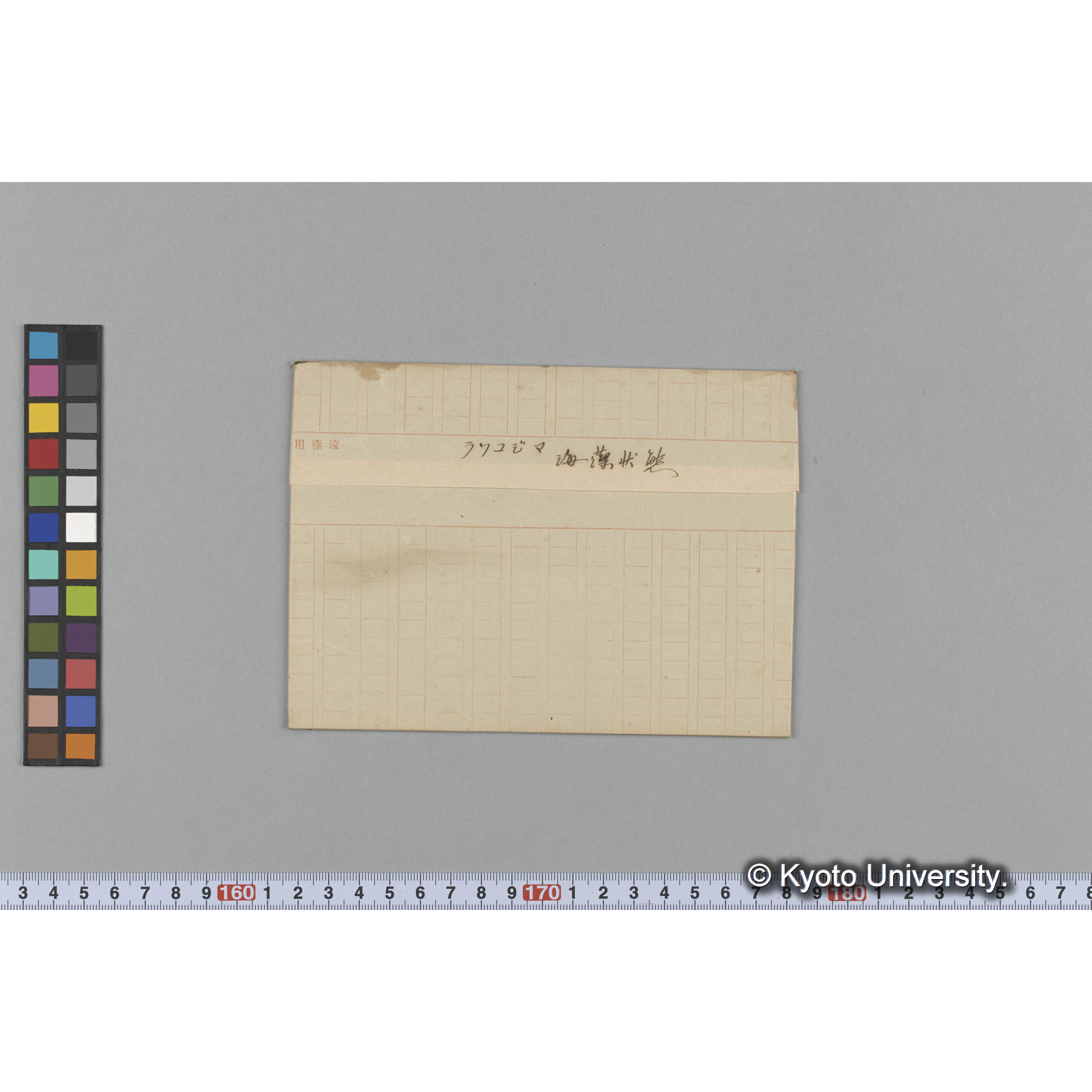 ラツコジマ / 海藻状態 (1)