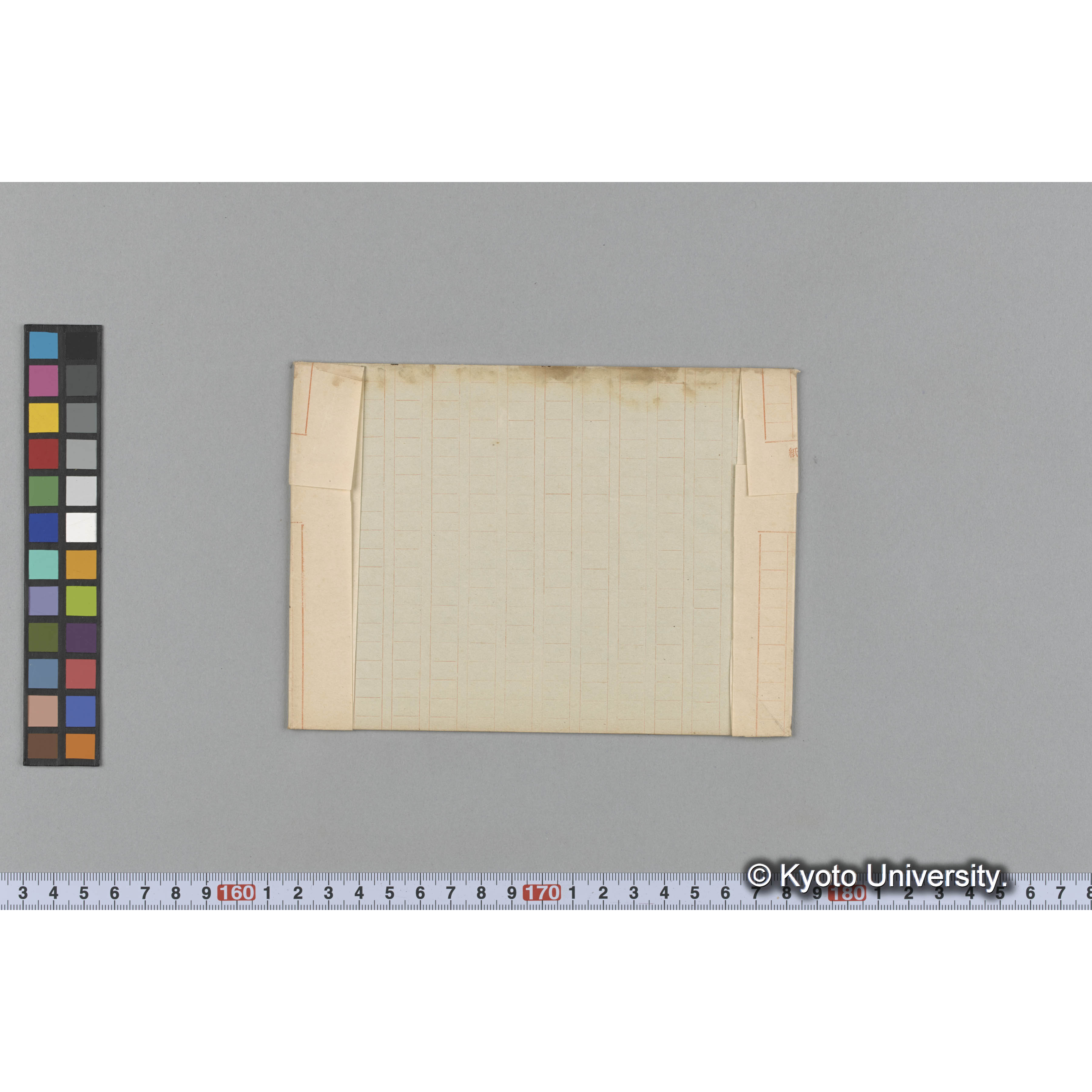 ラツコジマ / 海藻状態 (2)