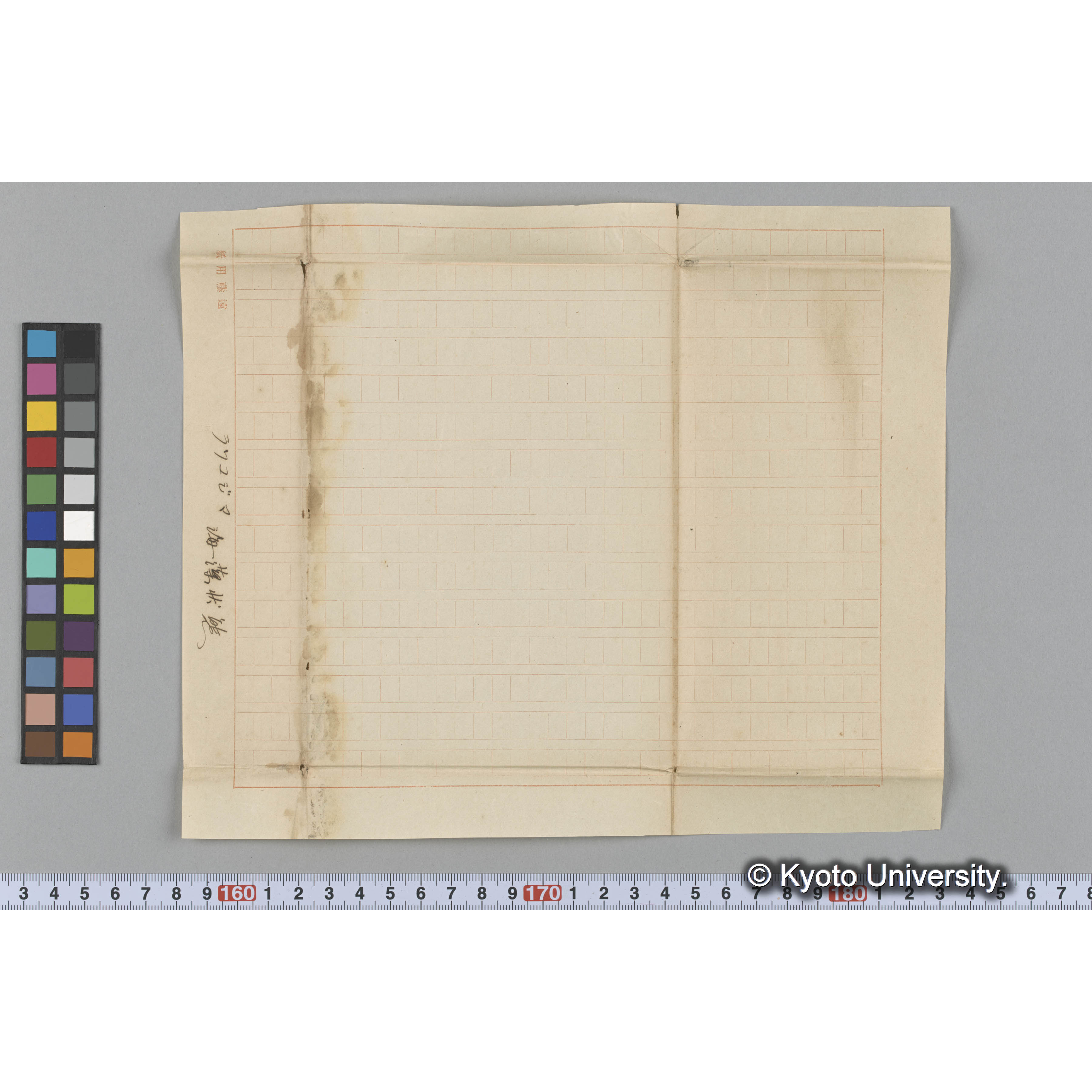 ラツコジマ / 海藻状態 (3)