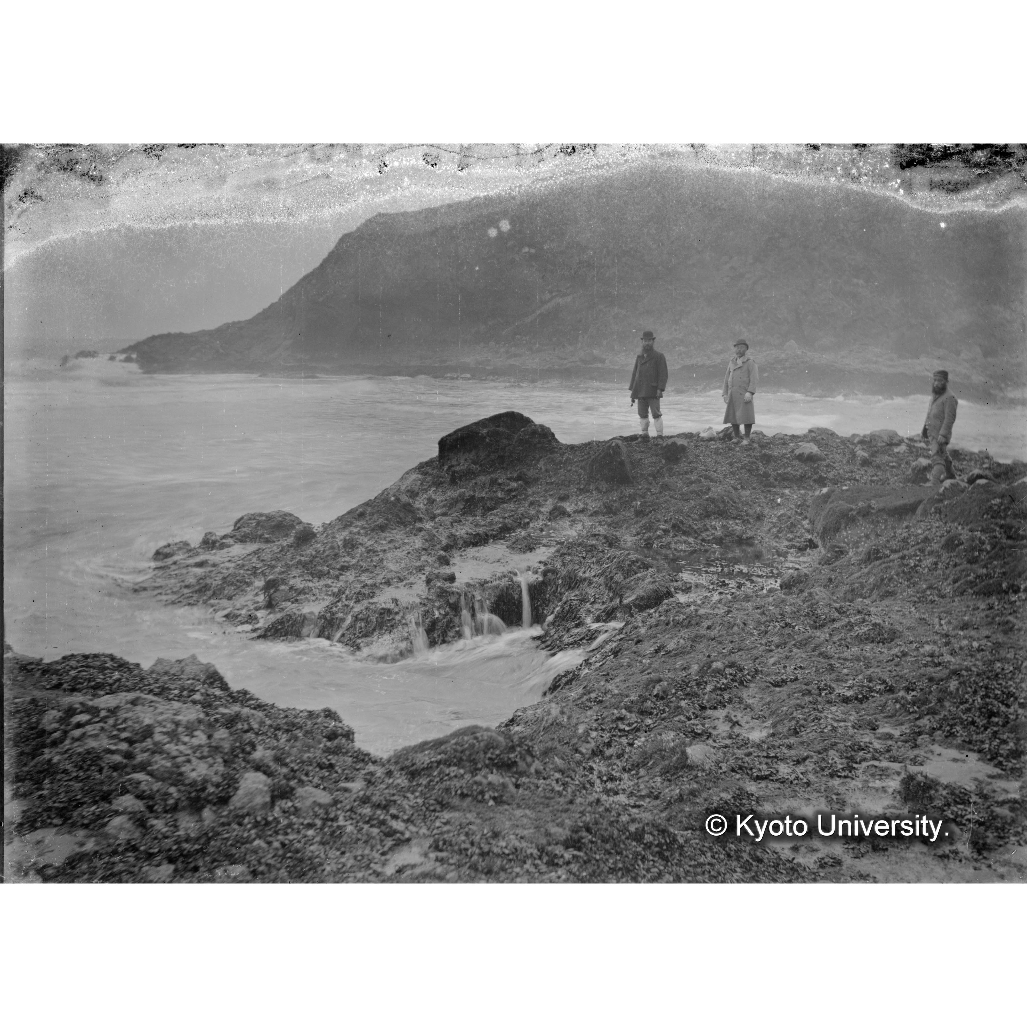 ラツコジマ / 海藻状態 (4)