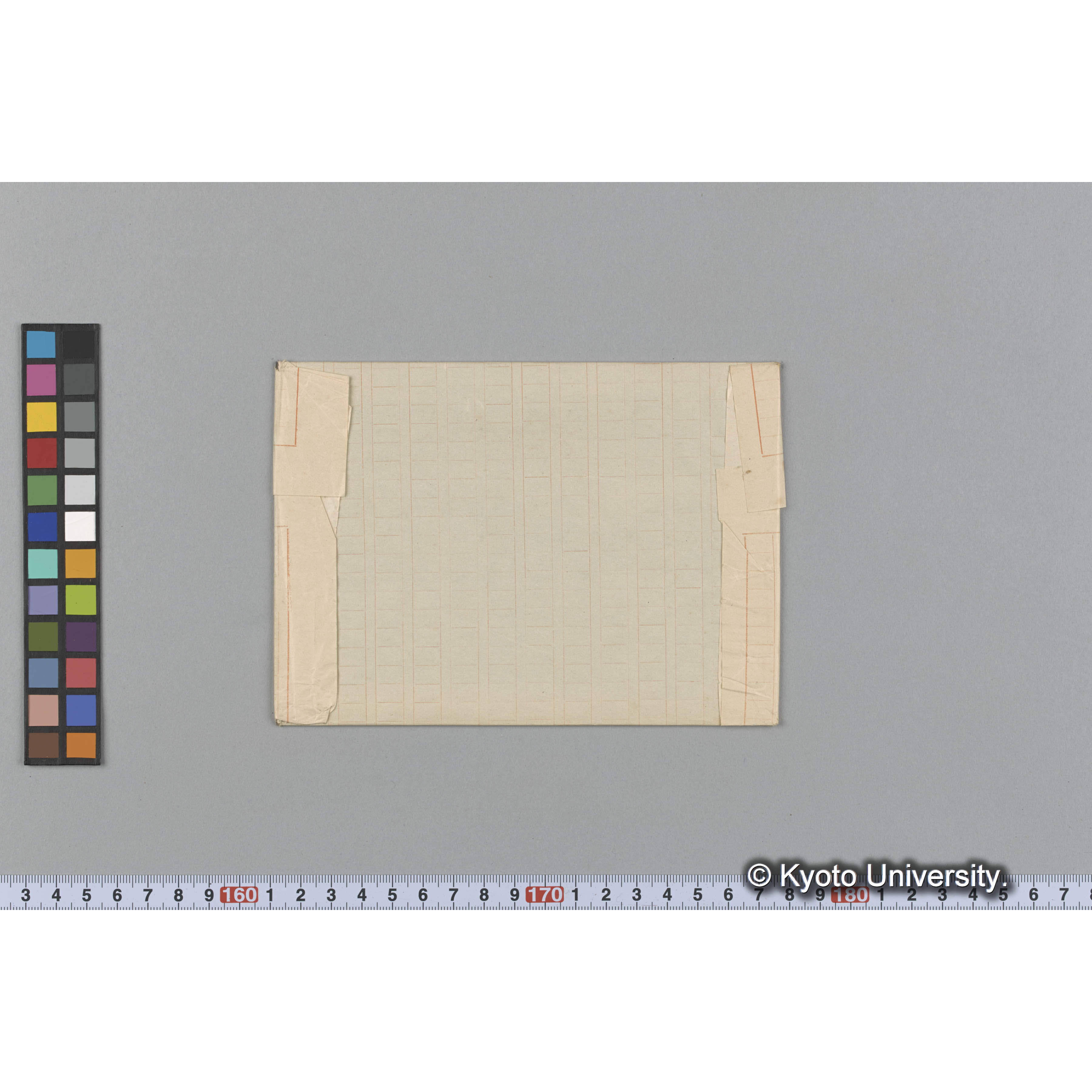 Callophyllis violacea / Herb. J. Ag （写真帳番号 18） (2)