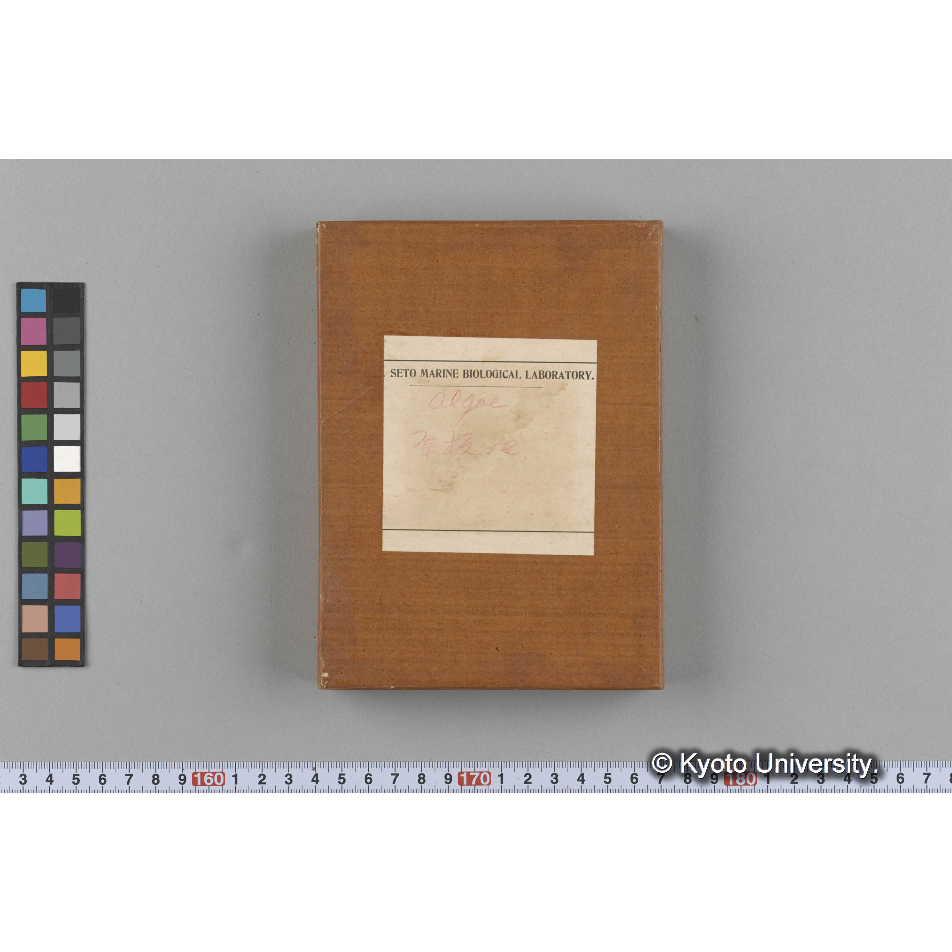 [ガラス乾板収納箱7.]algae 原板12 (1)