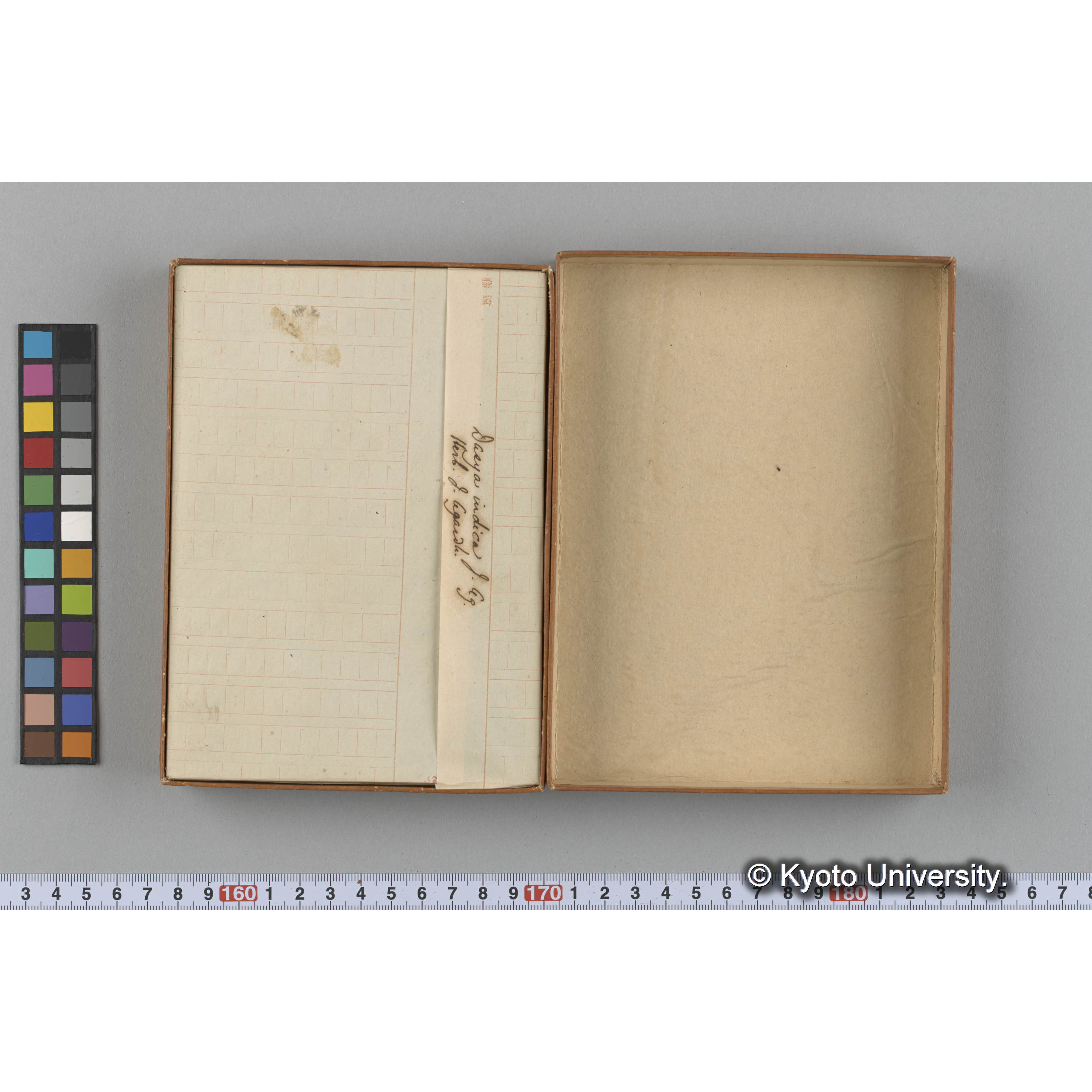 [ガラス乾板収納箱7.]algae 原板12 (2)