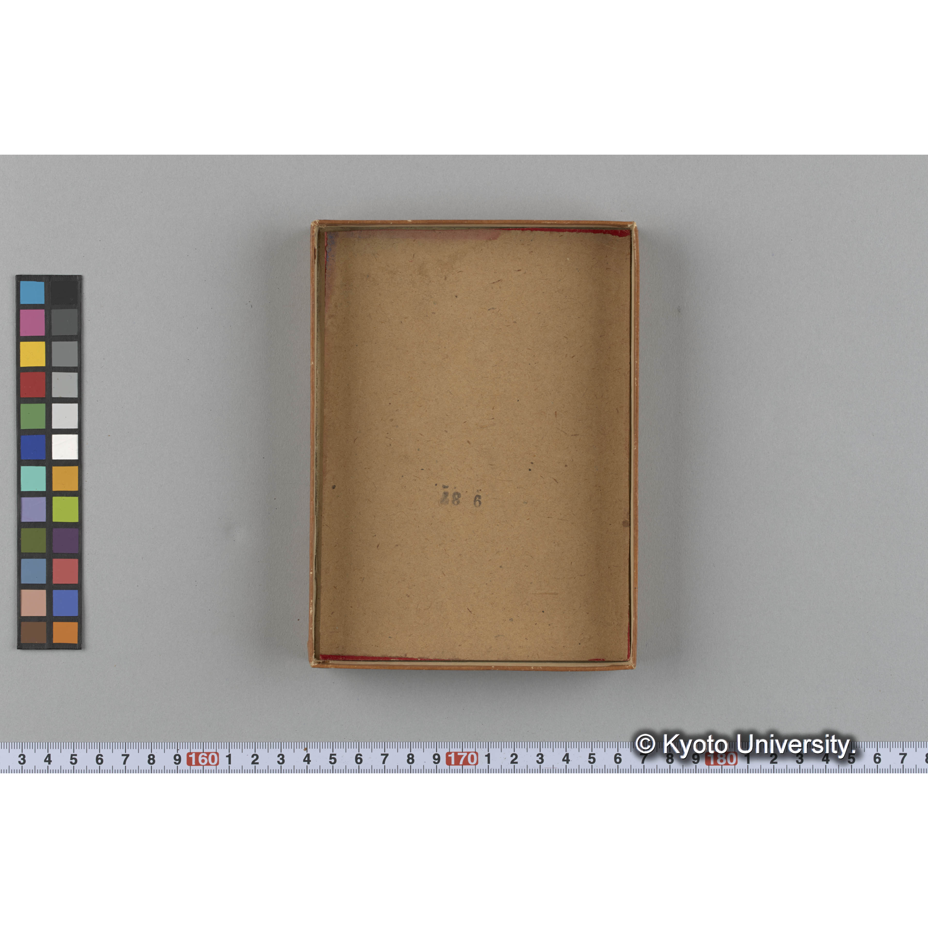 [ガラス乾板収納箱7.]algae 原板12 (3)