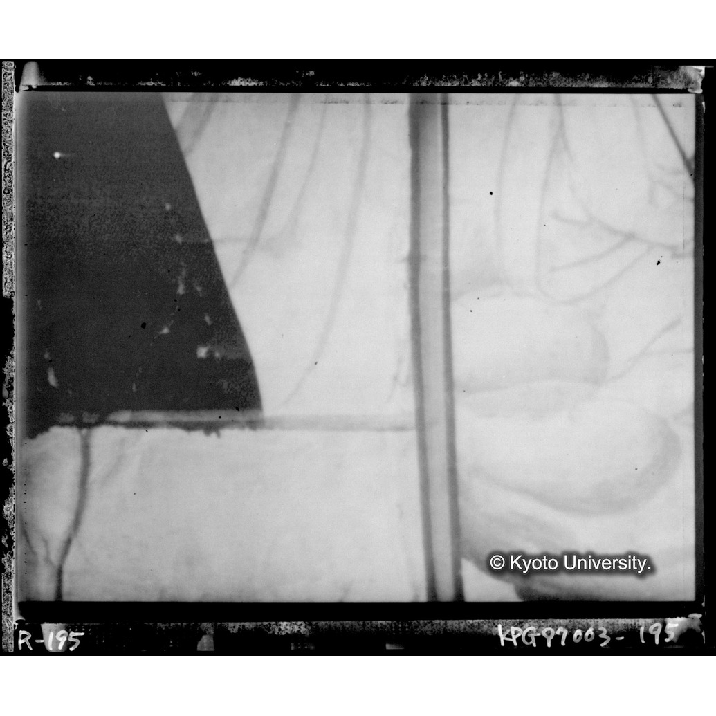 赤外線テレビ撮影画像写真（中央下段・十五玄義第十五図） (1)