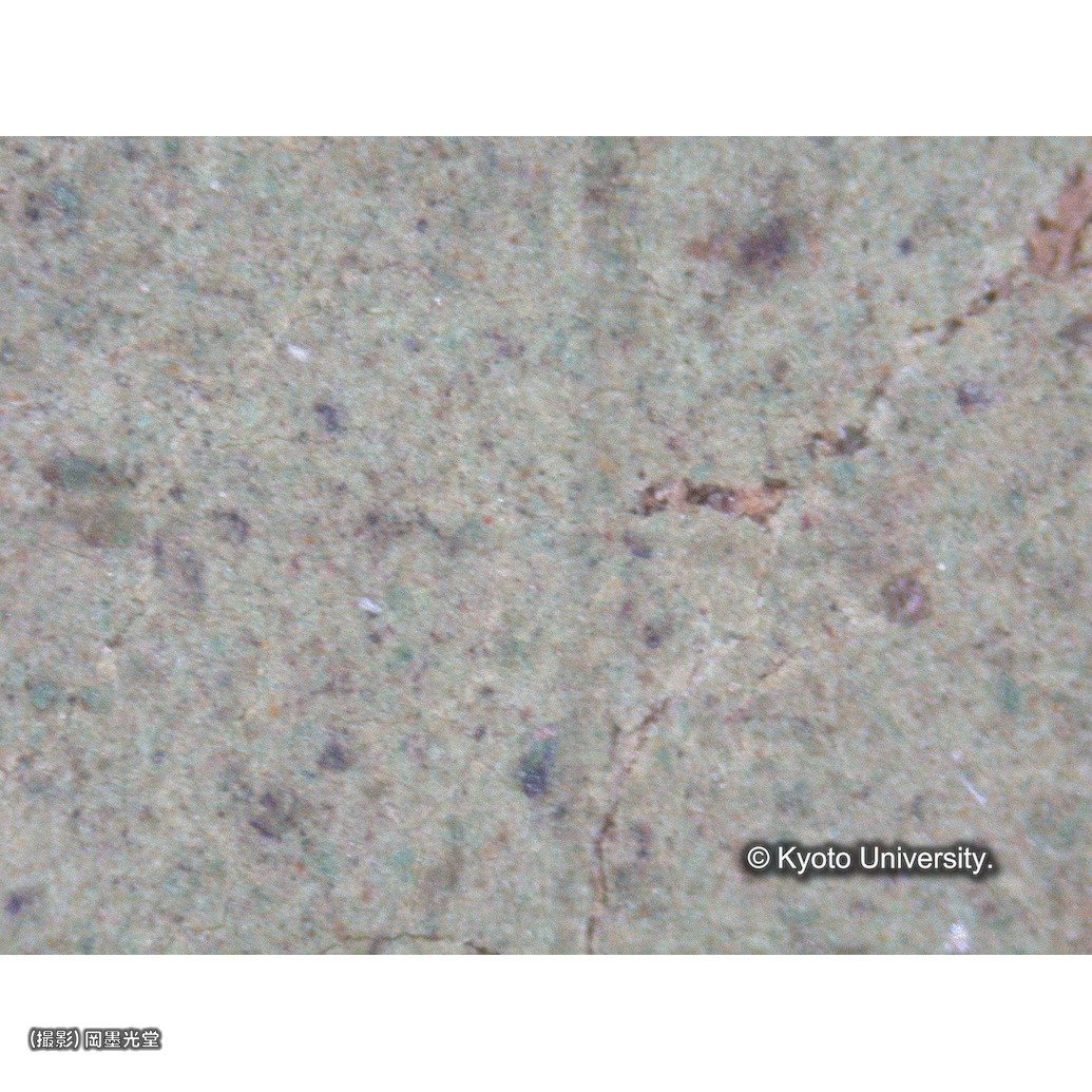 顕微鏡写真（枠線） (1)