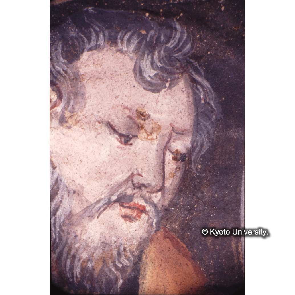 顕微鏡撮影カラー写真（十五玄義第四図：ヨセフ） (1)