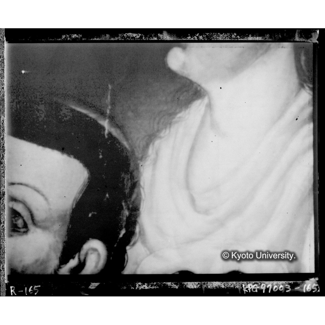 赤外線テレビ撮影画像写真（中央下段） (1)