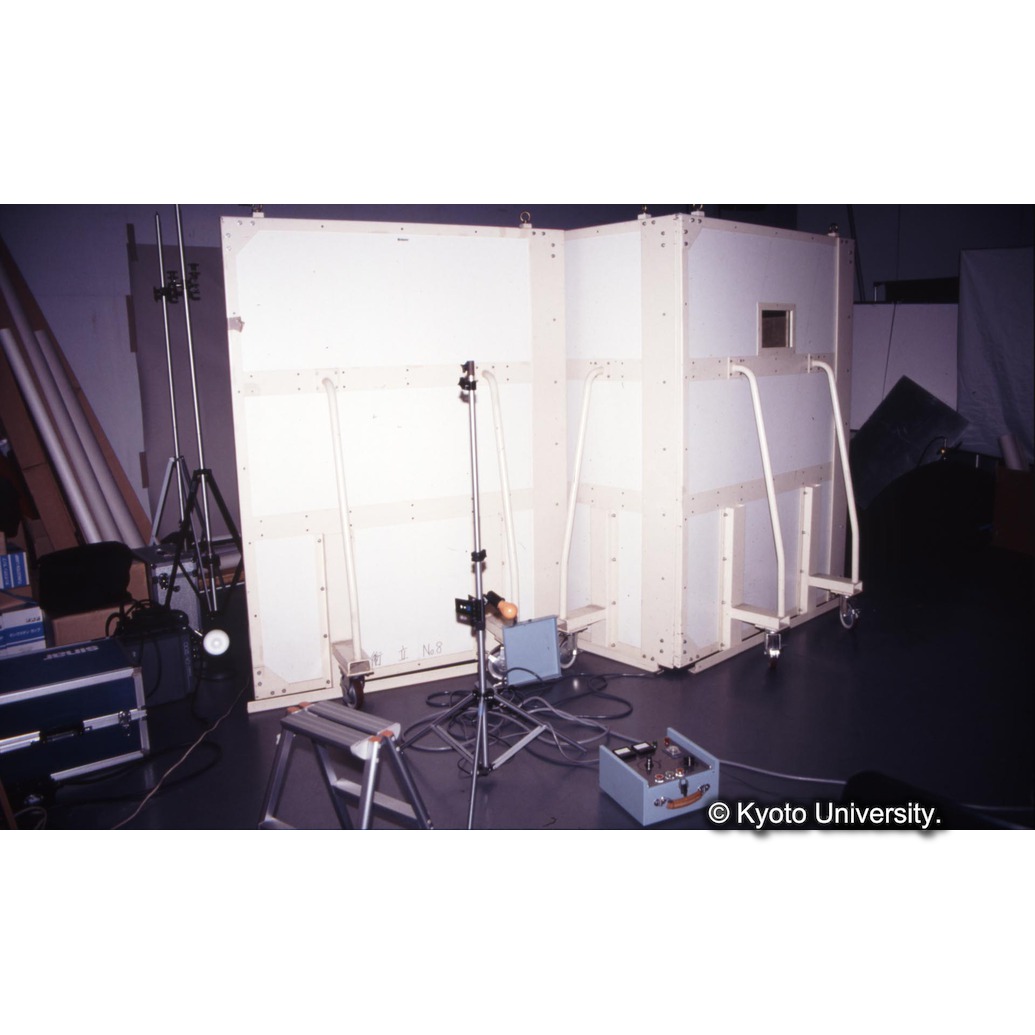 カラー写真（透過X線撮影） (1)