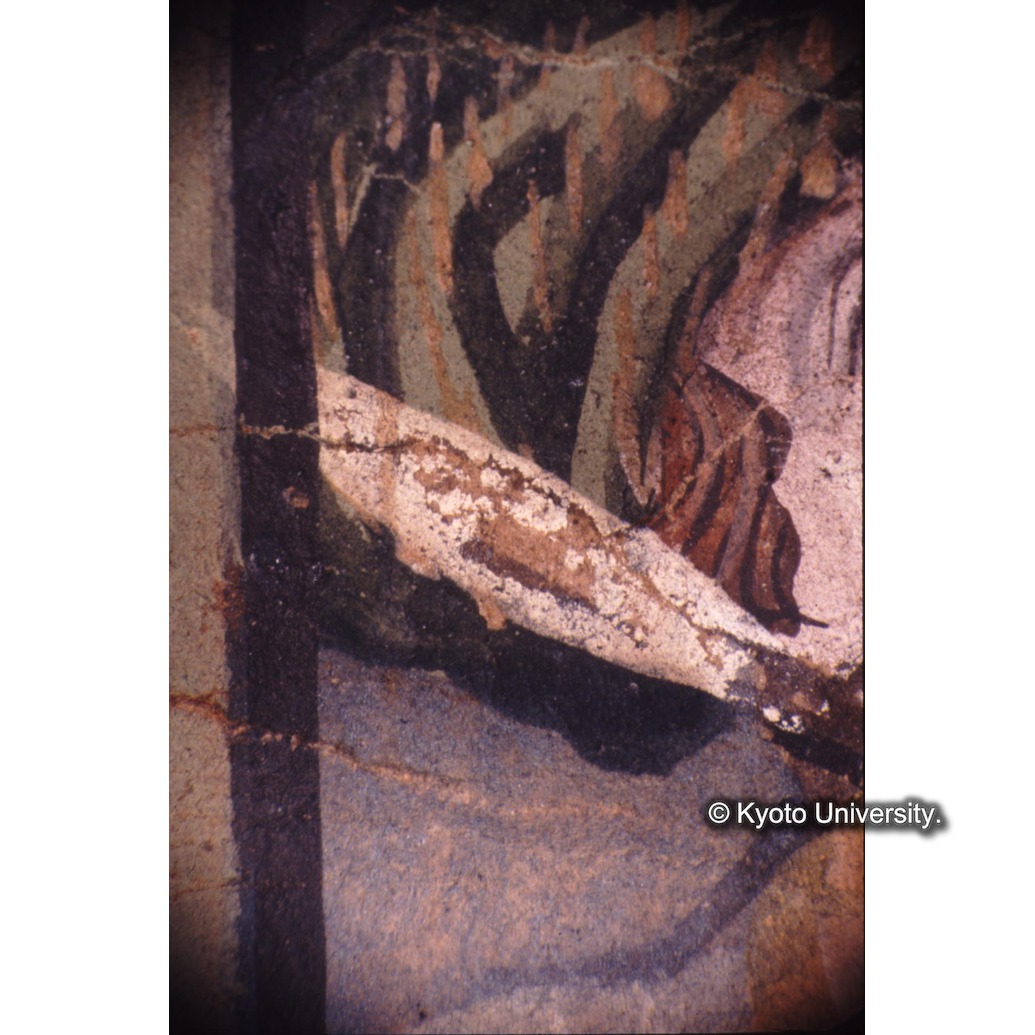 顕微鏡撮影カラー写真（十五玄義第十一図：左下側人物頭部） (1)