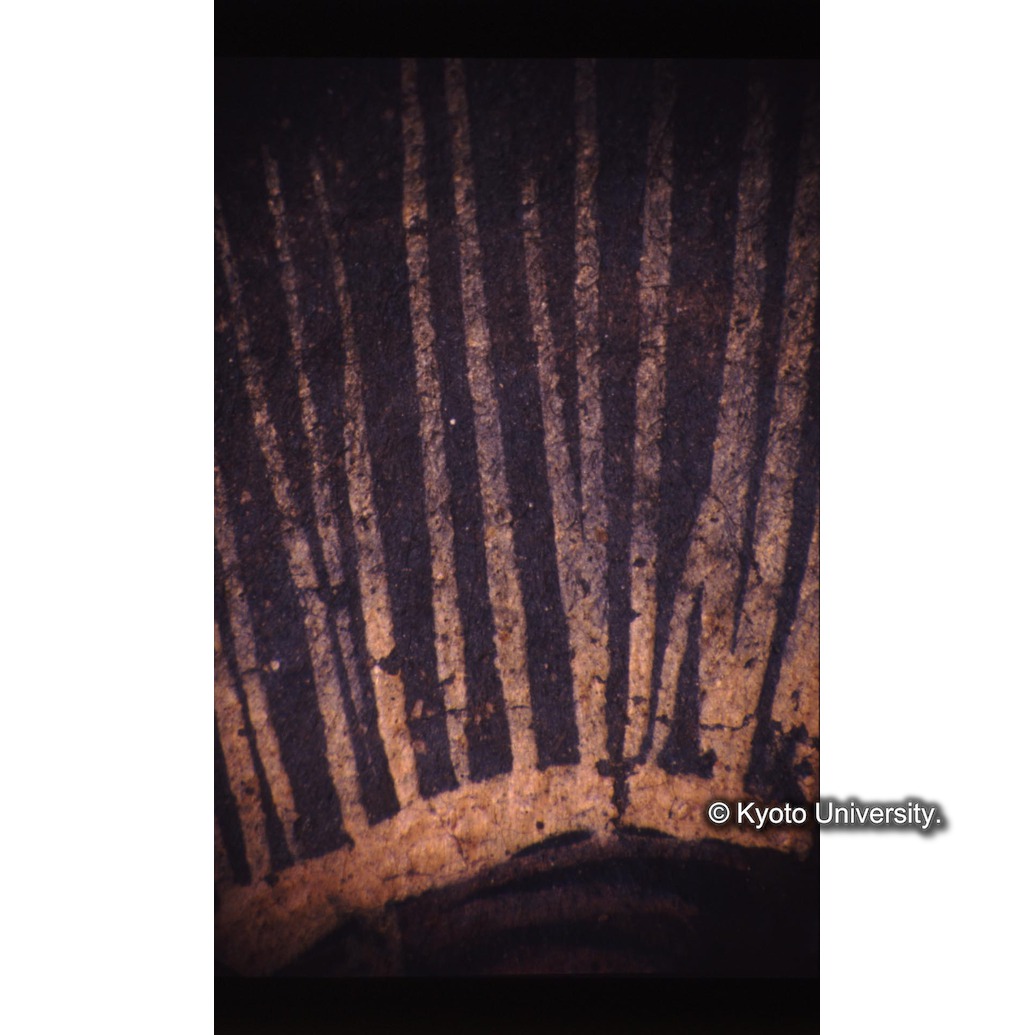 顕微鏡撮影カラー写真（十五玄義第八図：キリスト頭の後光） (1)