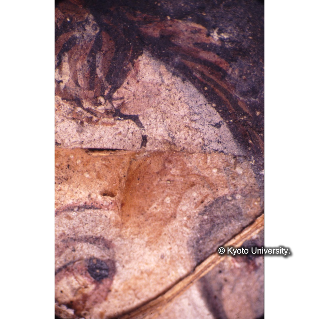 顕微鏡撮影カラー写真（十五玄義第五図：破れ・にじみ） (1)