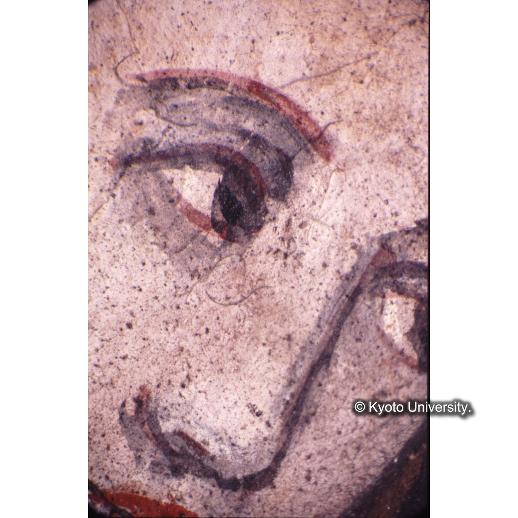 顕微鏡撮影カラー写真（十五玄義第一図：マリア） (1)