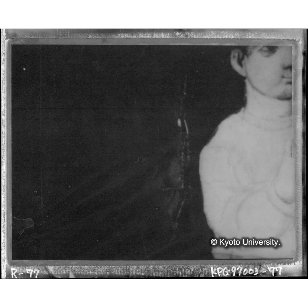 赤外線テレビ撮影画像写真（中央上段） (1)