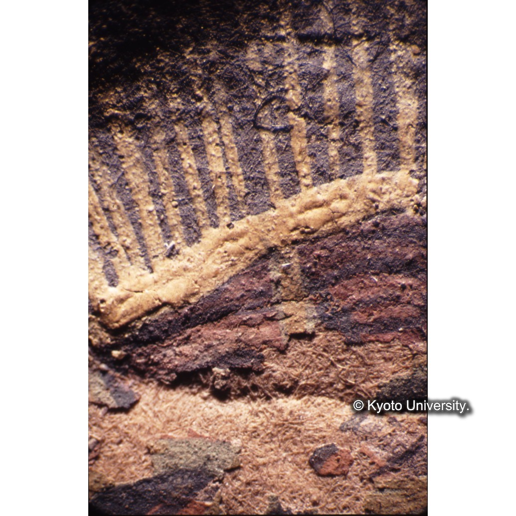 顕微鏡撮影カラー写真（中央上段：キリスト頭の後光） (1)