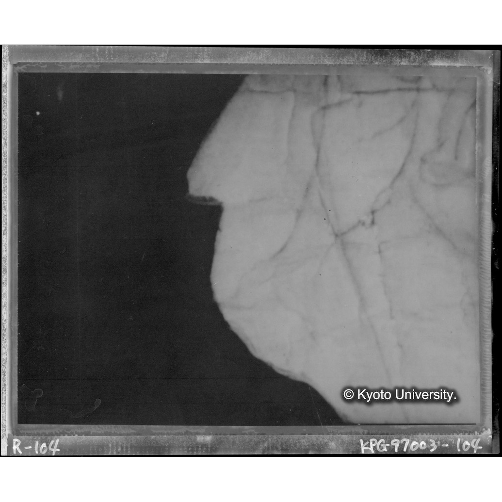 赤外線テレビ撮影画像写真（中央上段） (1)