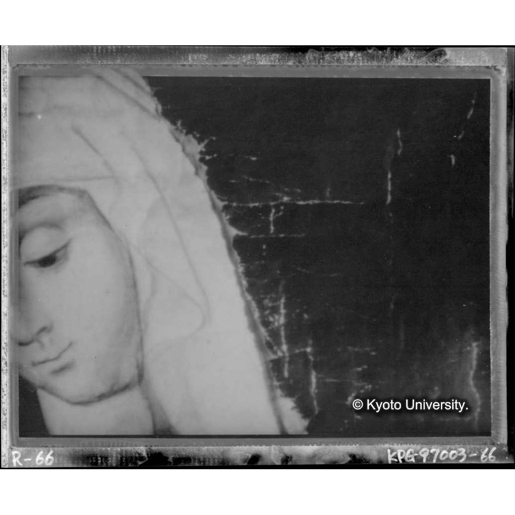 赤外線テレビ撮影画像写真（中央上段） (1)