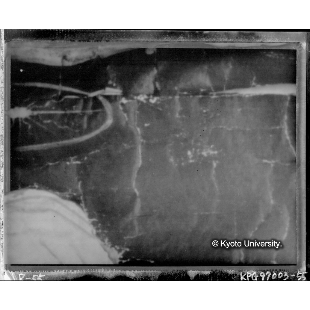 赤外線テレビ撮影画像写真（中央上段） (1)