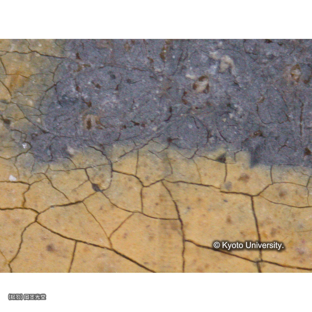 顕微鏡写真（中央文字） (1)