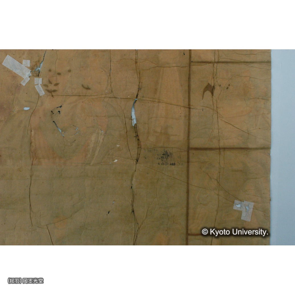 裏面継紙除去後（部分） (1)