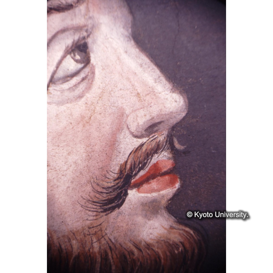 顕微鏡撮影カラー写真（中央下段：マチアス） (1)