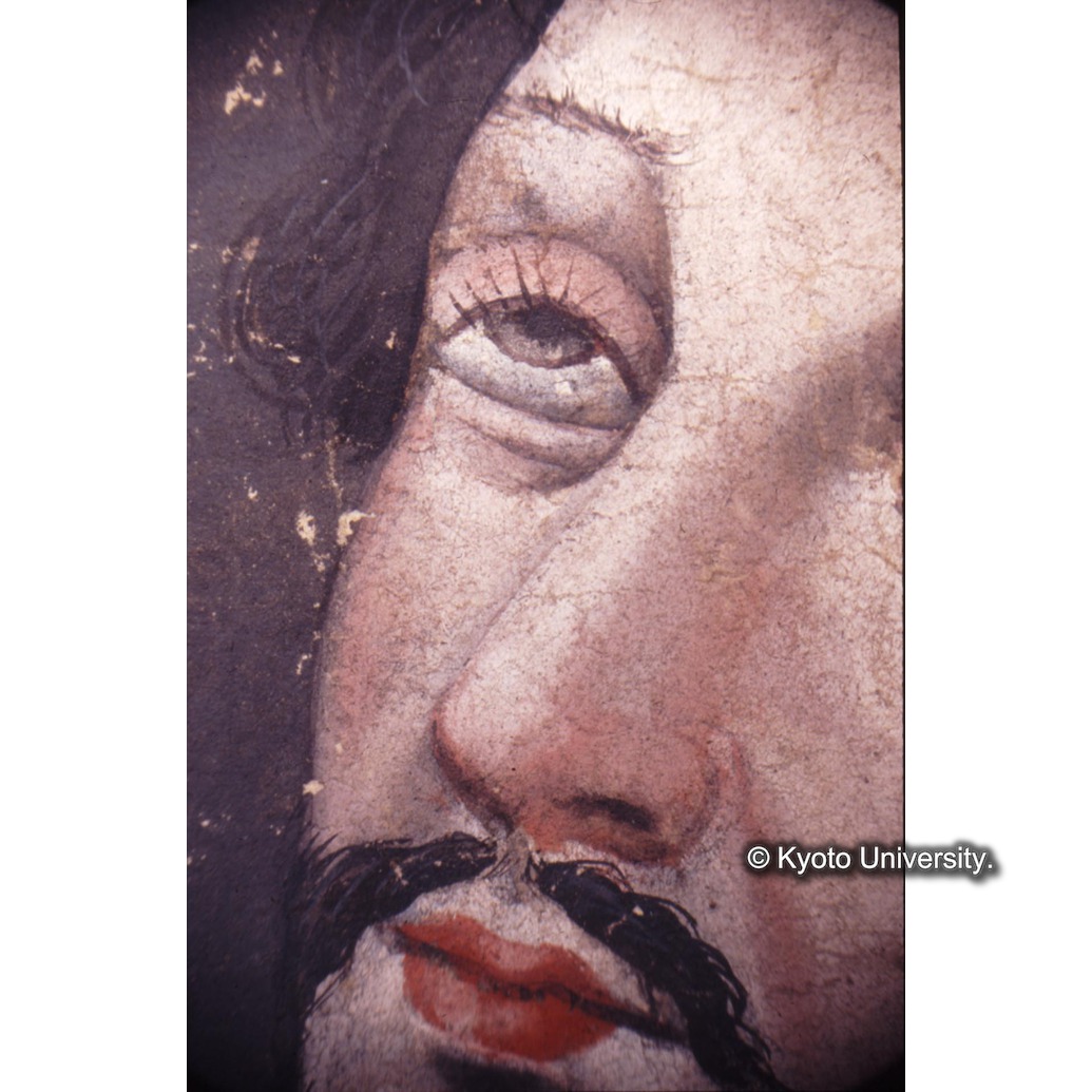 顕微鏡撮影カラー写真（中央下段：ザビエル） (1)