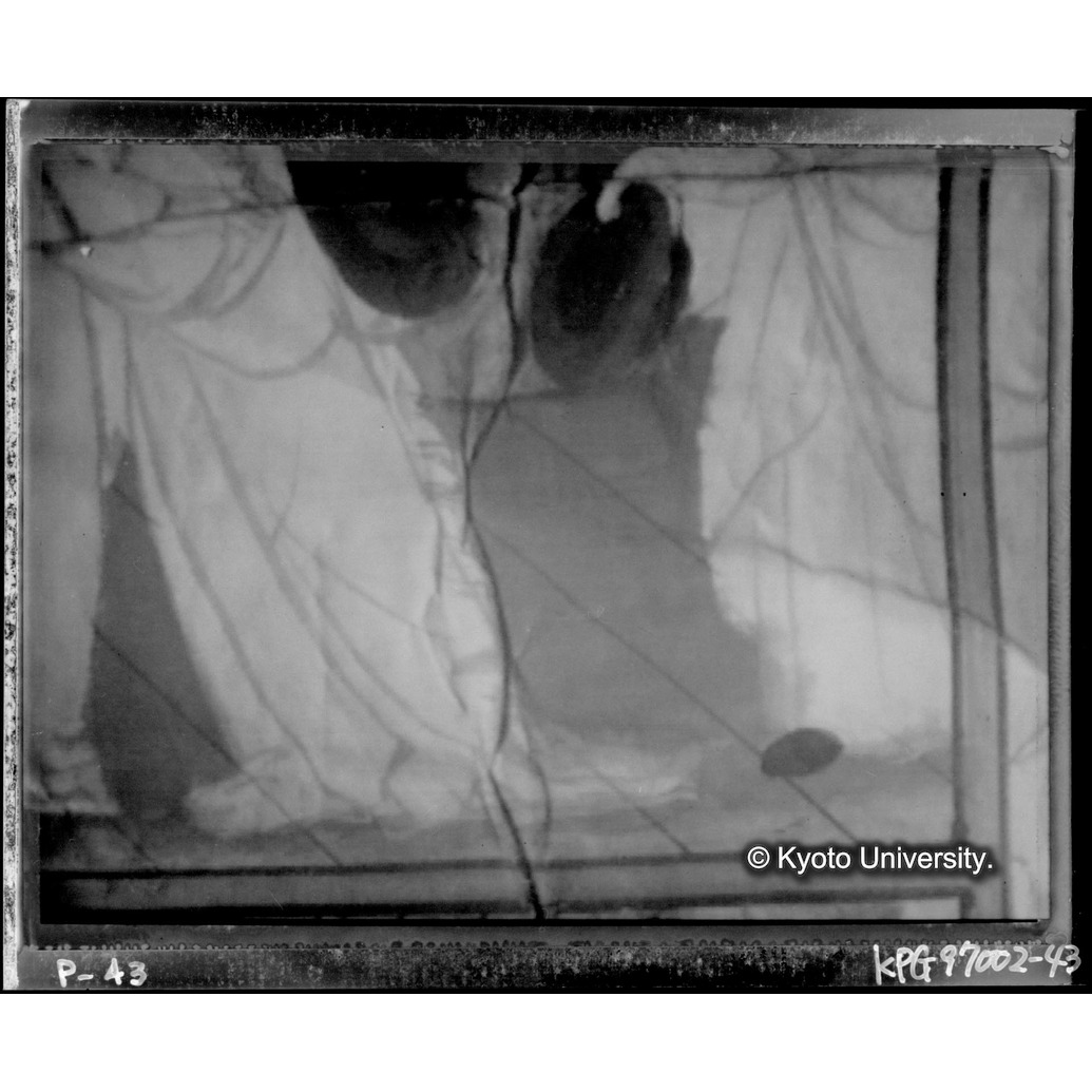 赤外線テレビ撮影画像写真（十五玄義第二図） (1)