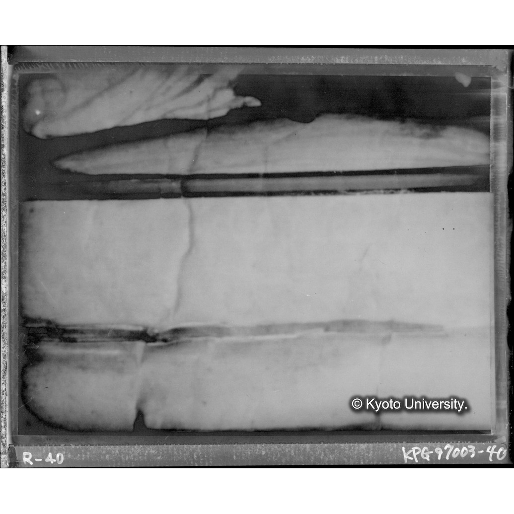 赤外線テレビ撮影画像写真（第九図・中央境界線付近） (1)