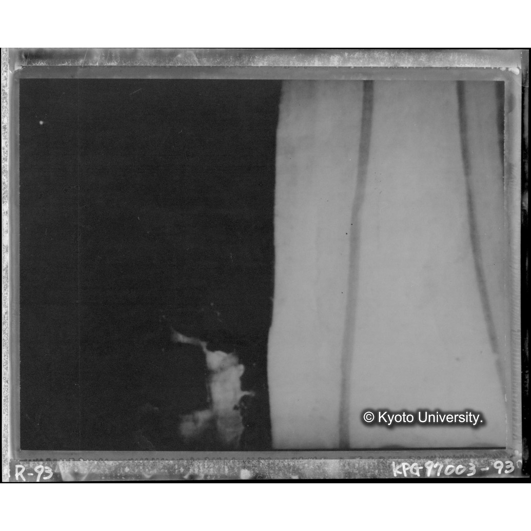 赤外線テレビ撮影画像写真（中央上段） (1)