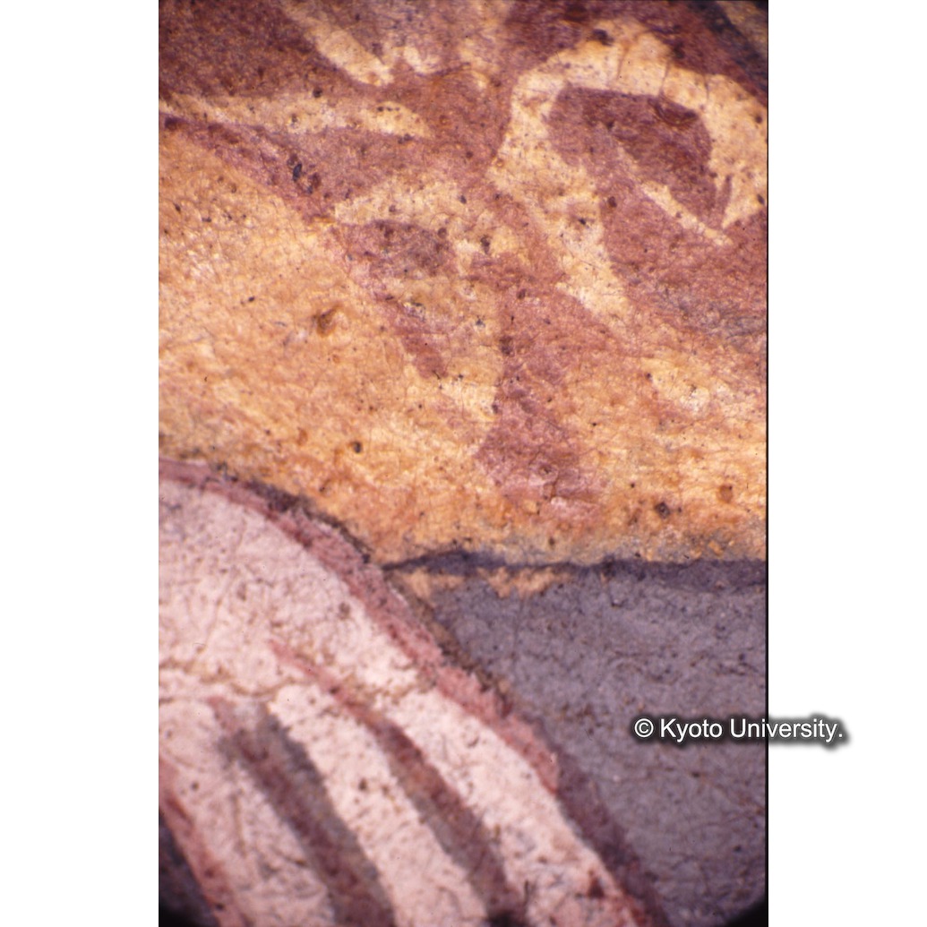 顕微鏡撮影カラー写真（十五玄義第四図：シメオン手・衣服） (1)