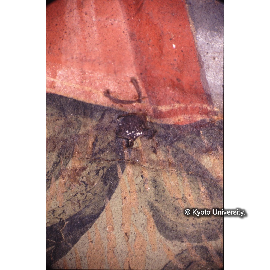 顕微鏡撮影カラー写真（十五玄義第一図：ニカワのしみ） (1)