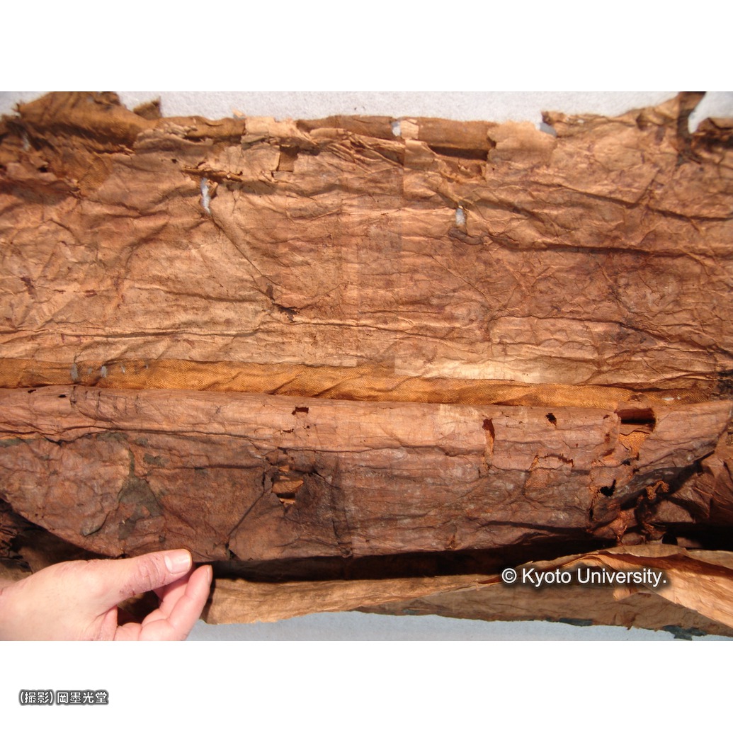 裏打ち除去（上裂） (1)