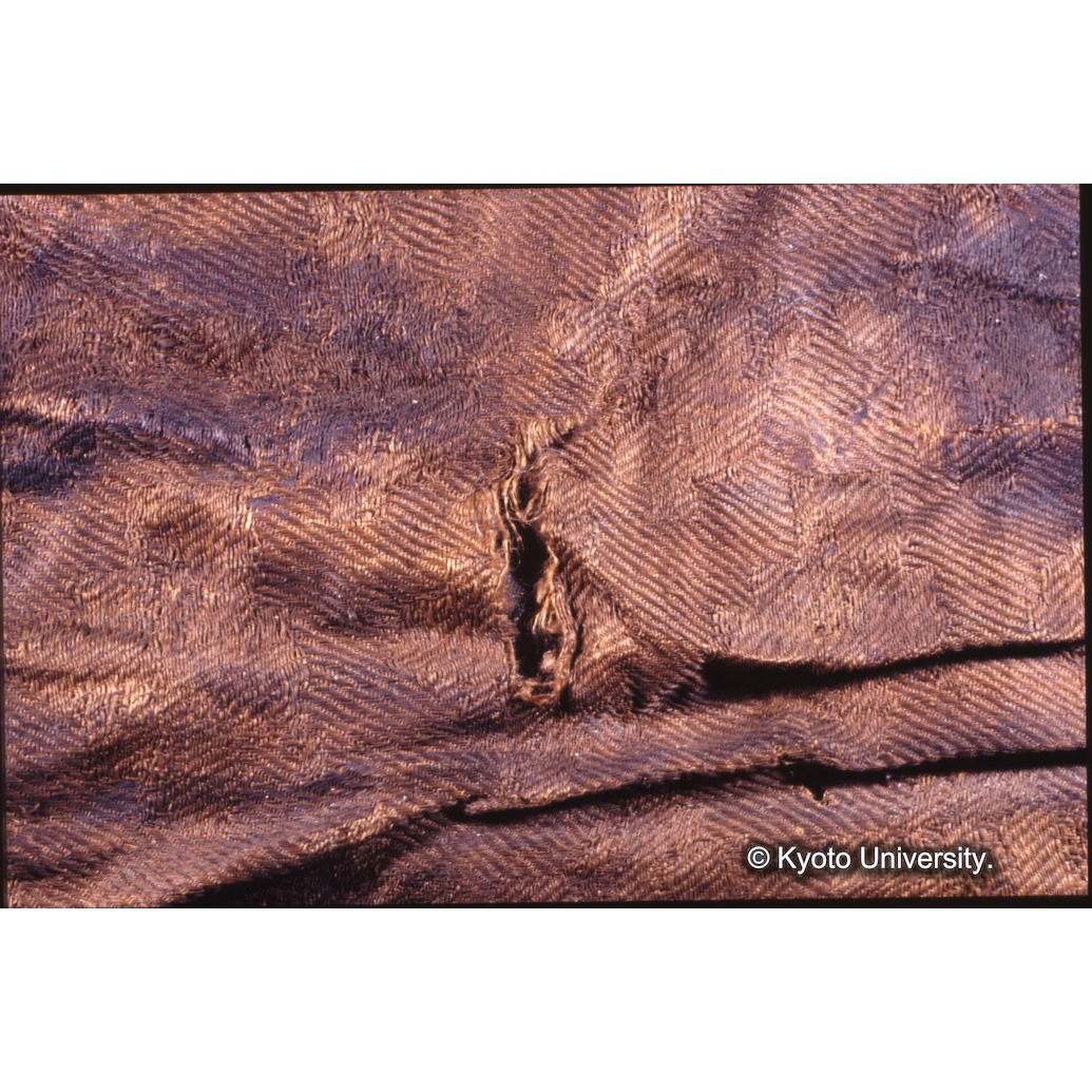 カラー写真（裏面：破れ） (1)