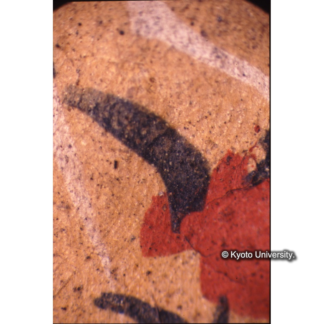 顕微鏡撮影カラー写真（十五玄義第十五図：冠の花・葉） (1)