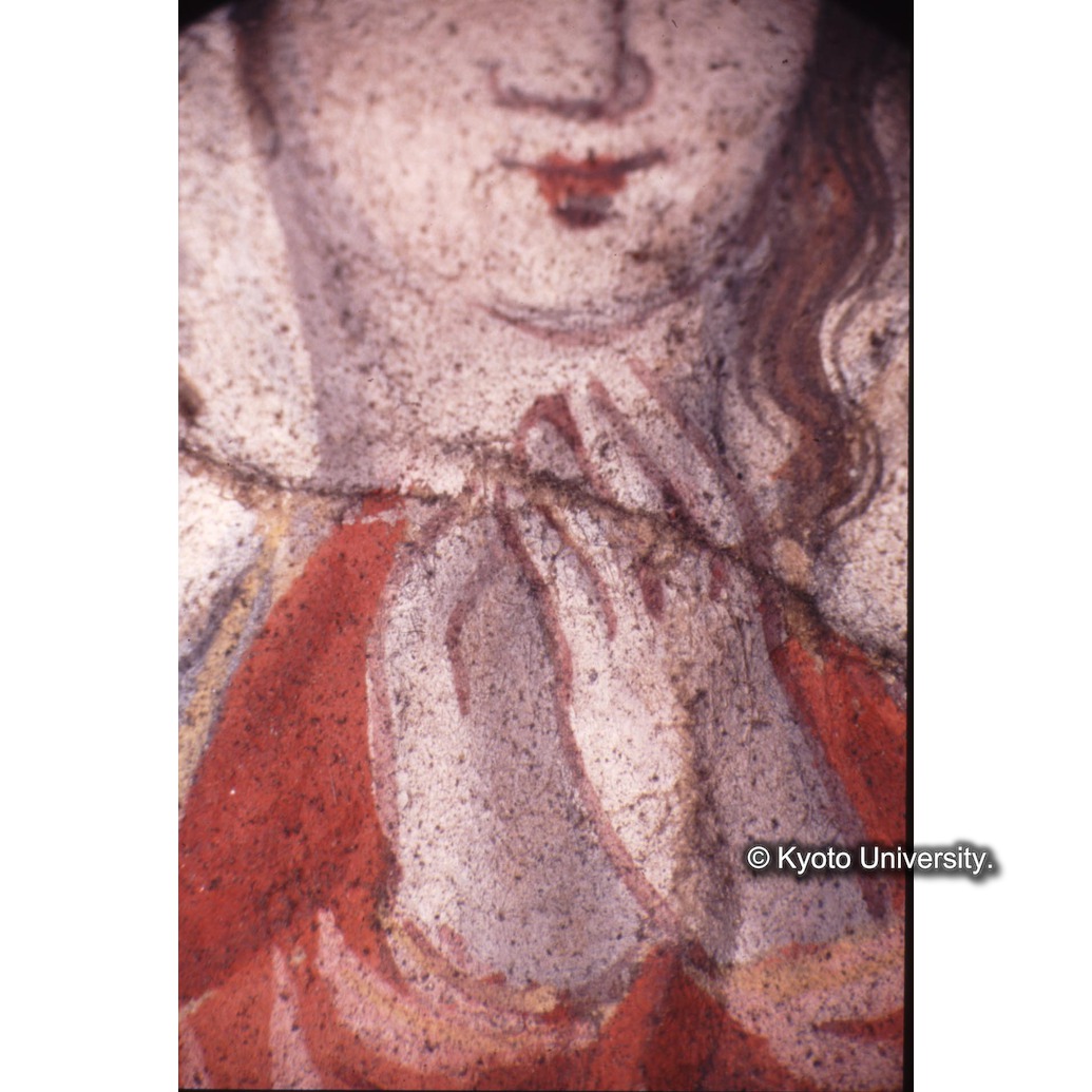 顕微鏡撮影カラー写真（十五玄義第十五図：マリア手） (1)