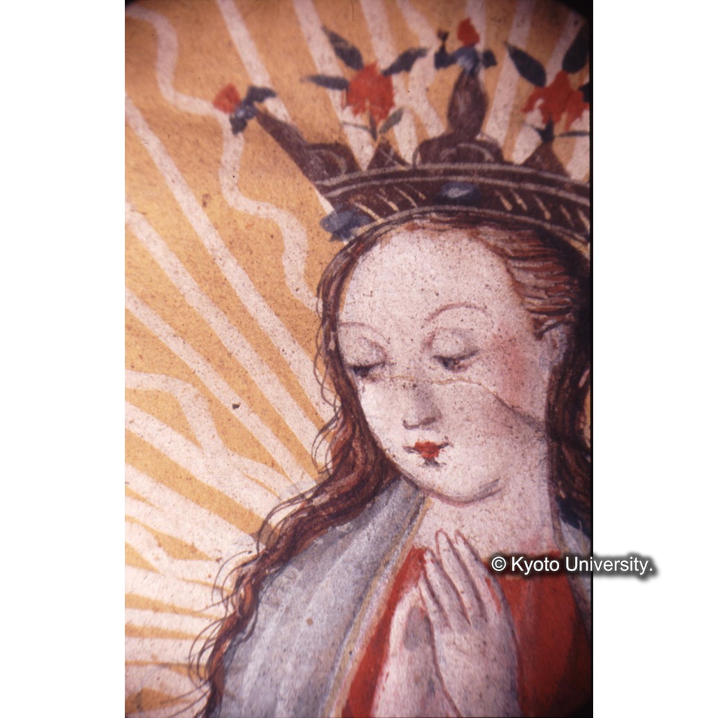 顕微鏡撮影カラー写真（十五玄義第十四図：マリア） (1)