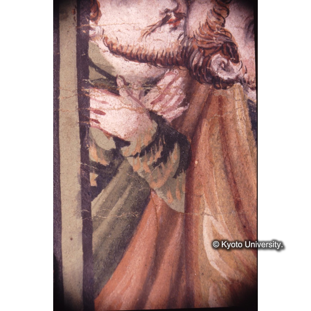 顕微鏡撮影カラー写真（十五玄義第十二図：左下側人物） (1)