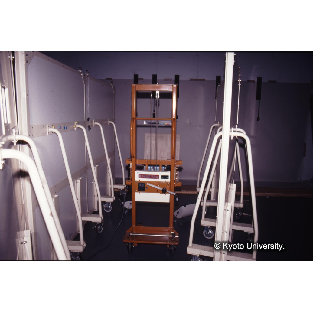 カラー写真（透過X線撮影） (1)