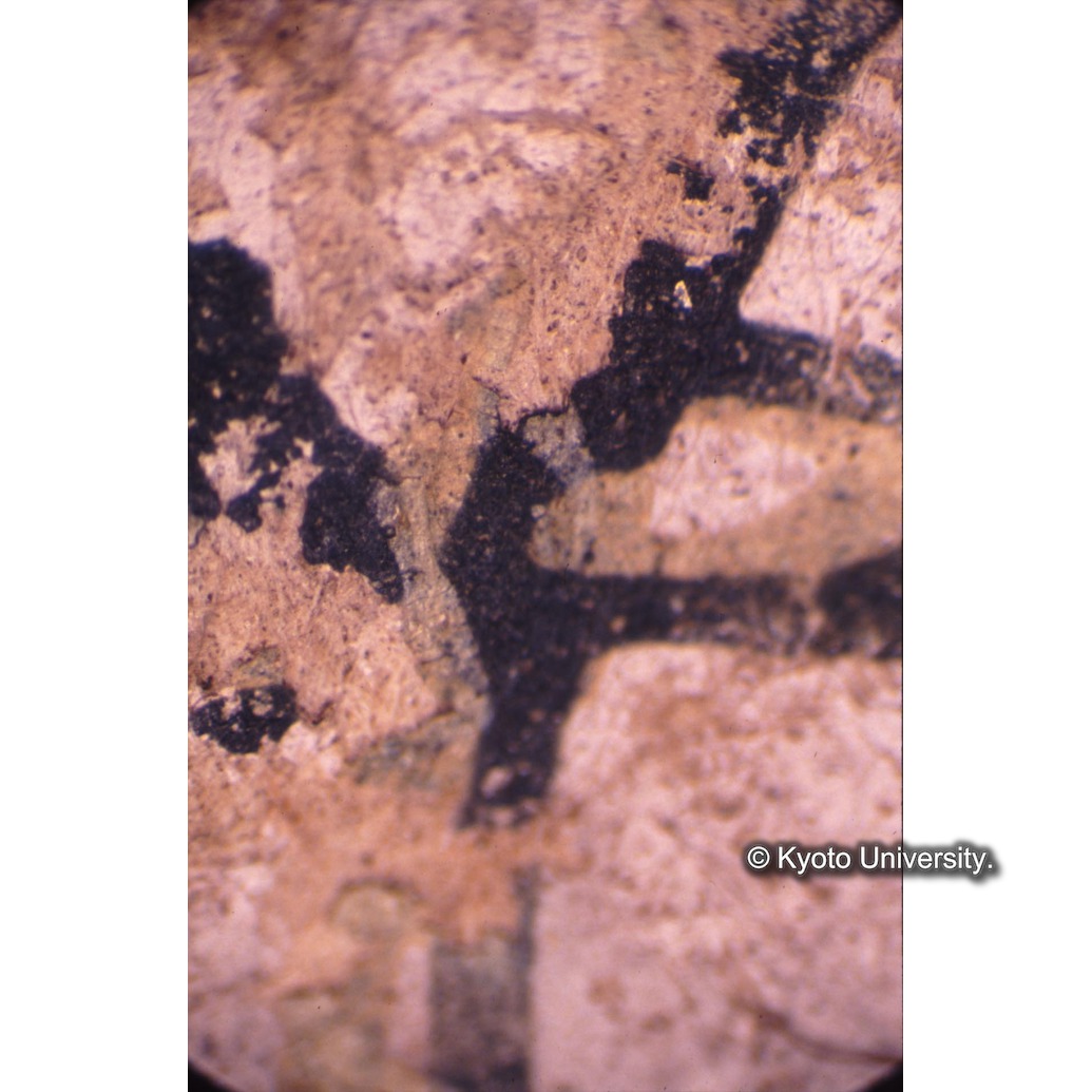 顕微鏡撮影カラー写真（十五玄義第七図：キリスト） (1)