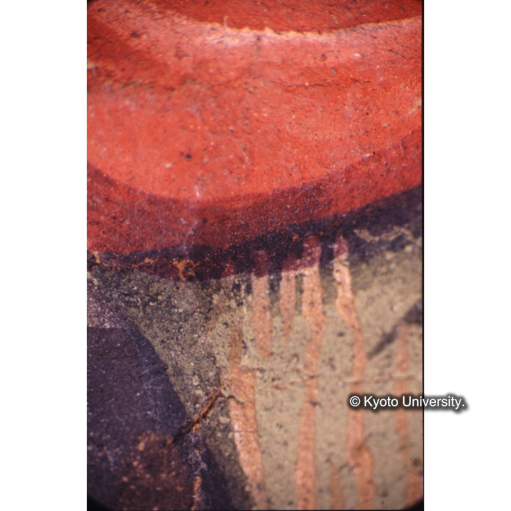 顕微鏡撮影カラー写真（十五玄義第七図：左側人物衣服） (1)