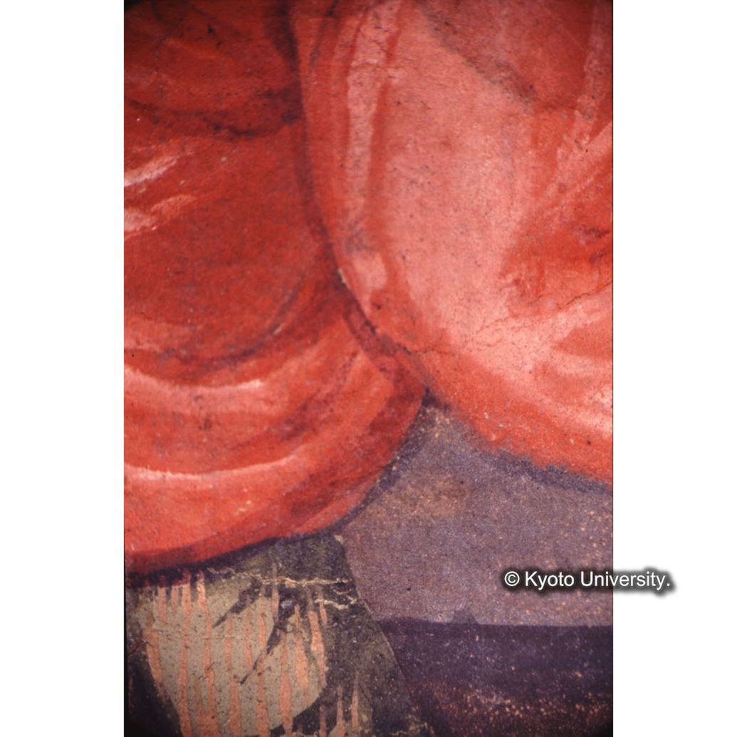 顕微鏡撮影カラー写真（十五玄義第七図：左側人物衣服） (1)