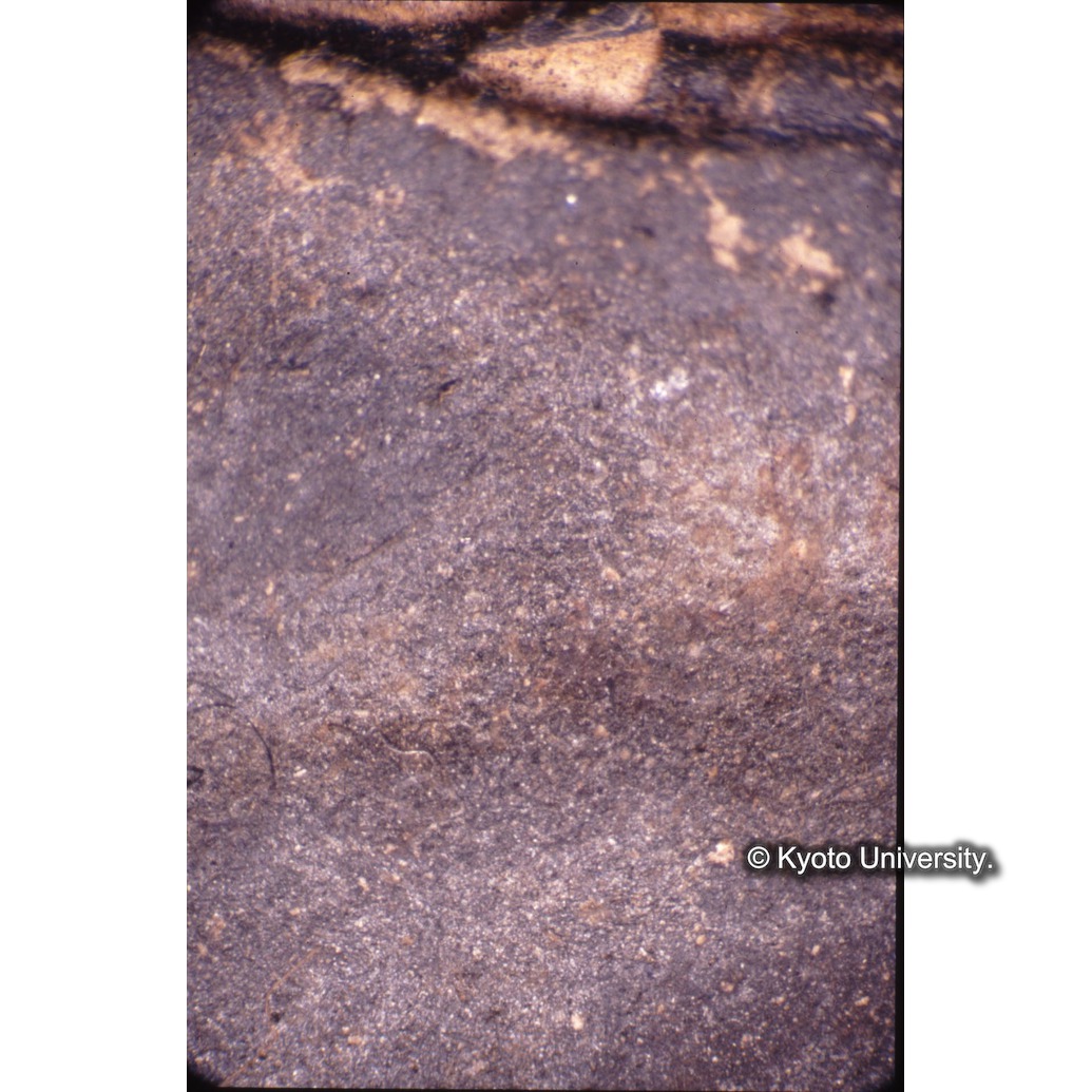 顕微鏡撮影カラー写真（十五玄義第五図：背景） (1)